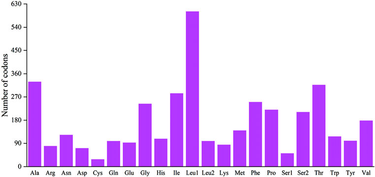 Bar graph showing the number of codons corresponding to various amino acids, represented in purple. Leu1 has the highest count, followed by Thr, Phe, and Ala. Other amino acids such as Cys and Trp have significantly lower counts. The x-axis lists amino acids, and the y-axis indicates the number of codons.