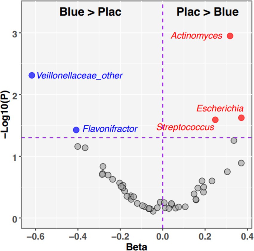 A volcano plot summarizing the results of linear mixed effects modeling of taxon relative abundance and diet-by-age interaction. Taxa in blue (Veillonellaceae_other and Flavonifractor) were significantly enriched in the blueberry group. Taxa in red (Actinomyces, Escherichia, Streptococcus) were significantly enriched in the placebo group. Taxa not meeting the significance threshold are colored gray.