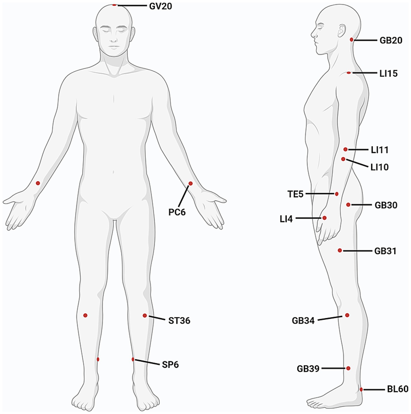 Illustration of a human figure with acupuncture points labeled. The frontal view shows points GV20 on the head, PC6 on the arm, ST36 and SP6 on the legs. The side view shows points GB20 on the neck, LI15 near the shoulder, LI11 and LI10 on the arm, TE5, LI4 on the hand, GB30 on the hip, GB31 on the thigh, GB34 and GB39 on the leg, and BL60 on the ankle. Each point is marked with a red dot.