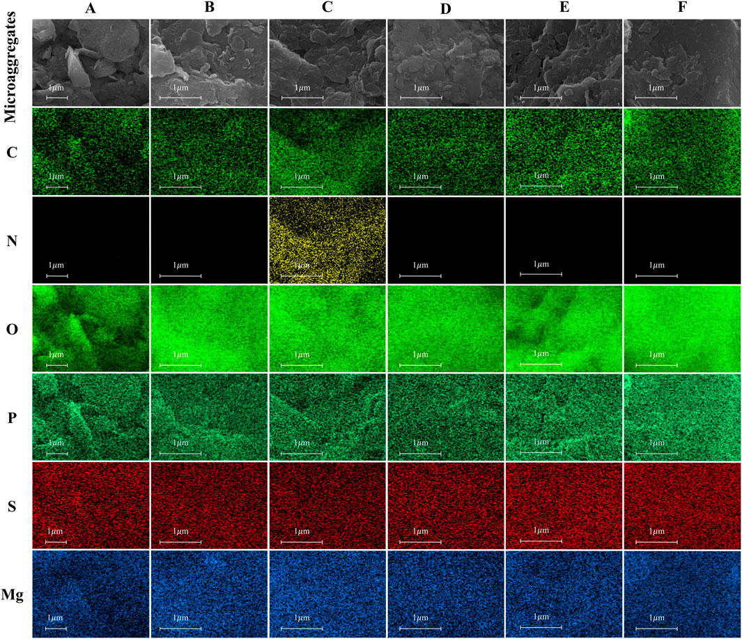 SEM and EDS elemental maps of microaggregates show six columns labeled A to F, with rows for carbon (C), nitrogen (N), oxygen (O), phosphorus (P), sulfur (S), and magnesium (Mg). The SEM images are grayscale, while EDS maps use different colors to represent element distribution: green for C, black/yellow for N, green for O, cyan for P, red for S, and blue for Mg. Each section includes a scale bar indicating 1 micrometer.