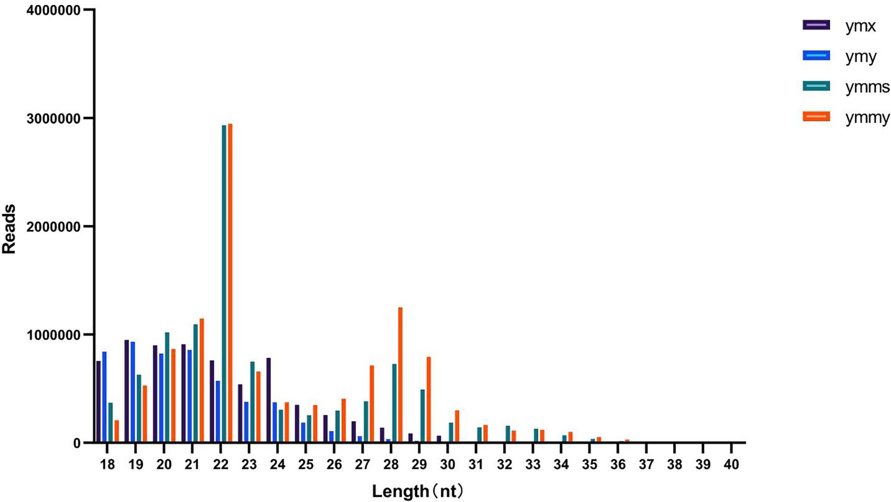 Bar graph depicting the number of reads against nucleotide length. Four datasets (ymx, ymy, ymms, ymmy) are represented by different colored bars. Peaks occur at lengths 21 and 22 nucleotides, with ycmy showing the highest read count at length 22.