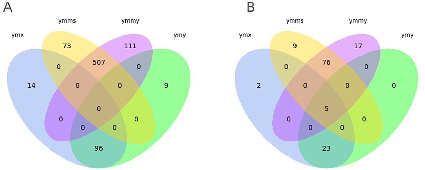 Two Venn diagrams labeled A and B, each displaying overlapping sets with labels ymx, ymms, ymmy, and ymy. Diagram A shows main overlaps: 507, 73, 111. Diagram B shows main overlaps: 76, 9, 17. Different sections have numbers indicating unique and shared elements.