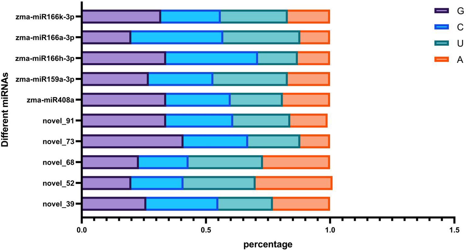 Horizontal stacked bar chart showing percentages of nucleotides G, C, U, and A for various miRNAs. Color-coded: purple for G, blue for C, teal for U, and orange for A. Each miRNA such as zma-miR166k-3p shows varied proportions.