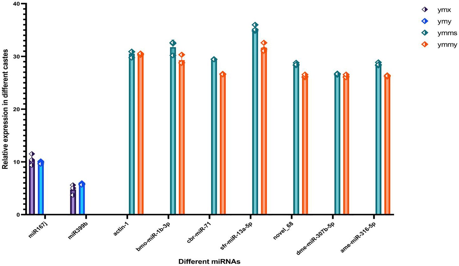 A bar chart displays the relative expression of different miRNAs across various castes. The x-axis lists miRNAs like miR167j, miR399b, and others, while the y-axis shows relative expression levels. Bars are color-coded to represent case types: ymx, ymy, ymms, and ymmy. miR167j and miR399b have lower expression levels around 10, while others like actin-1 and novel_68 reach higher around 30 or more.