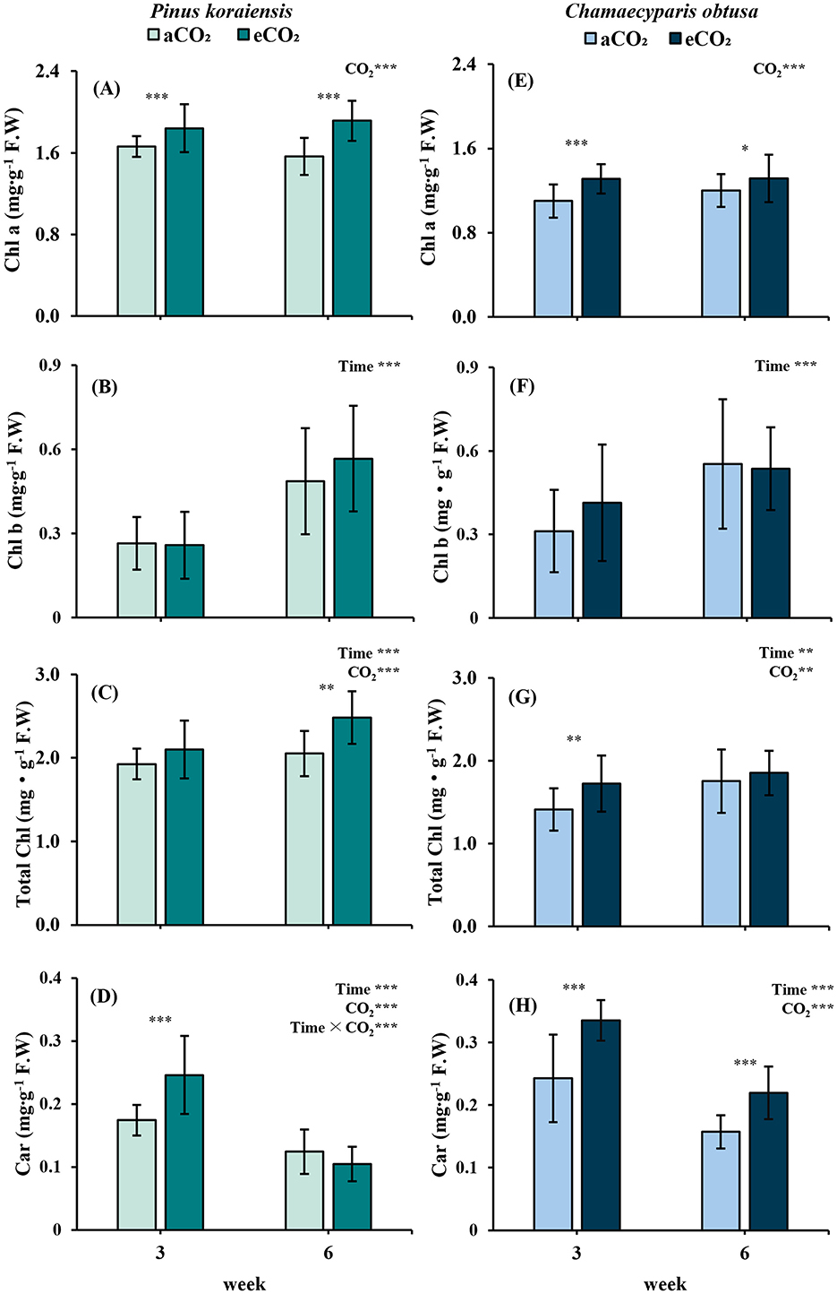 Bar graphs comparing the effects of ambient CO2 (aCO2) and elevated CO2 (eCO2) on chlorophyll and carotenoid content in Pinus koraiensis and Chamaecyparis obtusa over three and six weeks. Each species shows differences in chlorophyll a, chlorophyll b, total chlorophyll, and carotenoids with significant differences indicated by asterisks. Error bars represent variability.