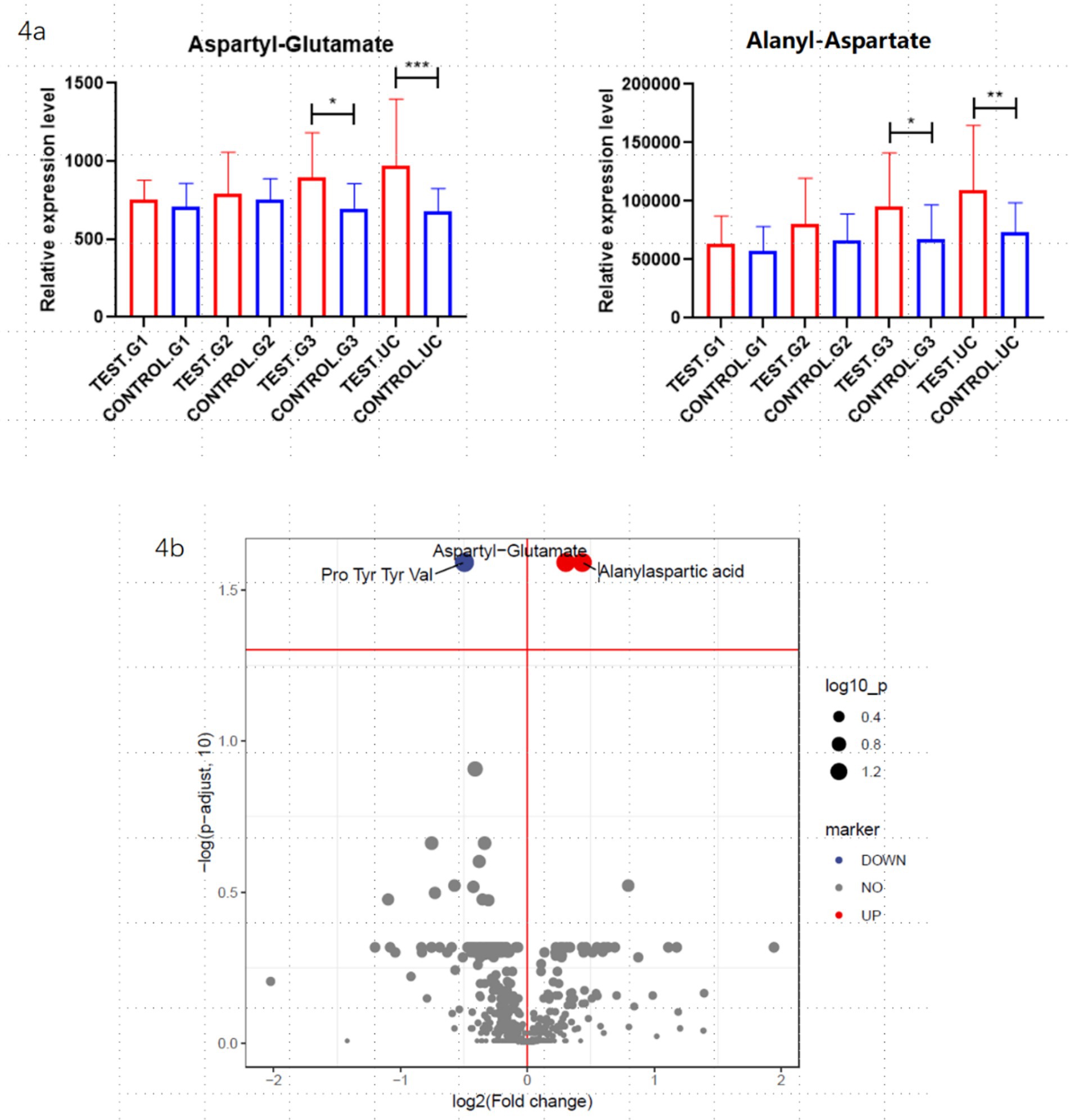 The image contains two bar graphs and one scatter plot. The top bar graphs (4a) compare the relative expression levels of Aspartyl-Glutamate and Alanyl-Aspartate across test and control groups, showing significant differences marked by asterisks. The scatter plot (4b) shows a volcano plot with log2 fold change on the x-axis and negative log10 adjusted p-values on the y-axis, highlighting Aspartyl-Glutamate and Alanyl-Aspartate as significant markers in red and blue.