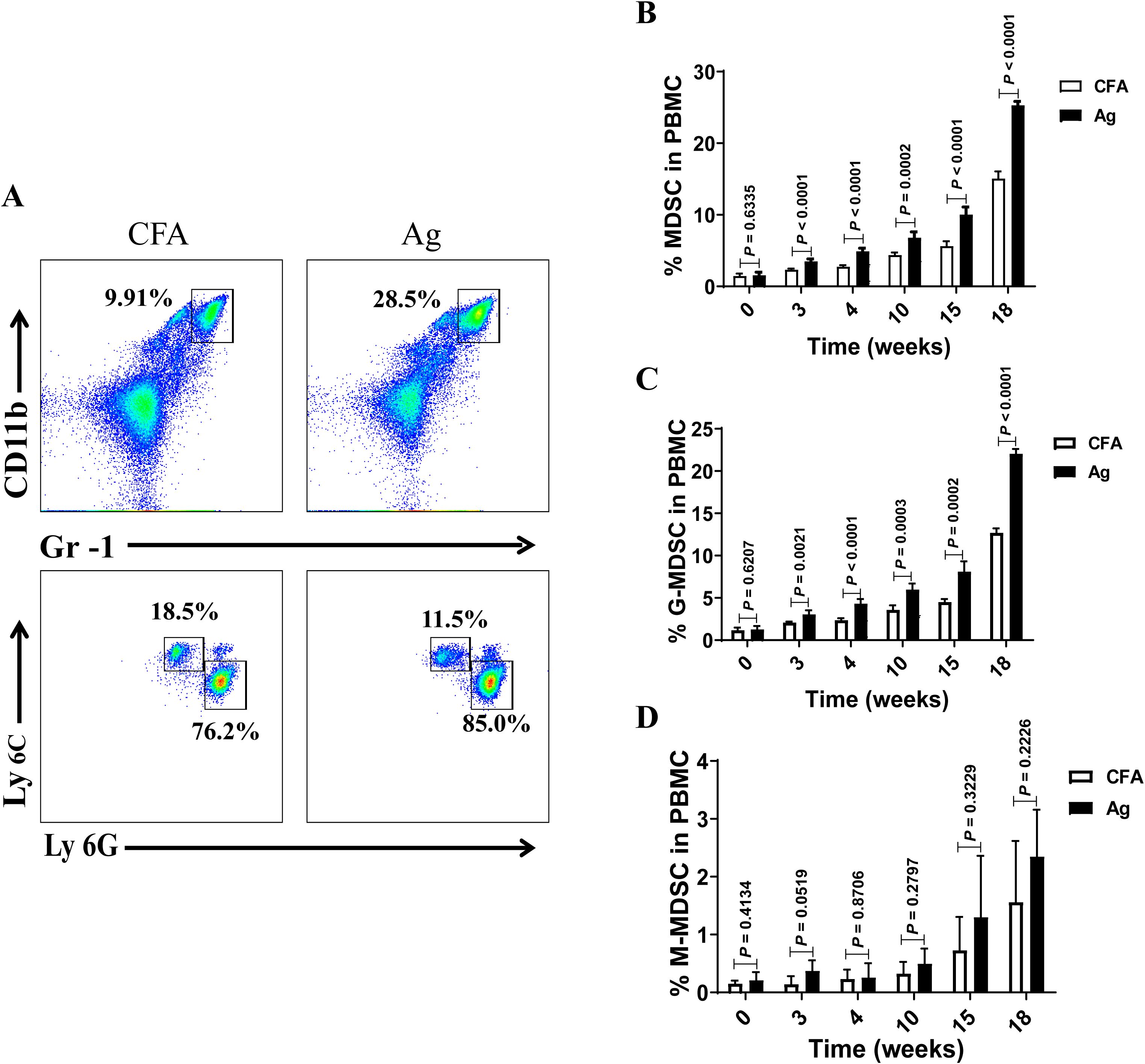Flow cytometry plots and bar graphs analyze immune cell populations. Panel A shows two flow cytometry dot plots comparing CD11b and Gr-1 expression in CFA and Ag conditions, indicating differing percentages. Panels B, C, and D display bar graphs showing percentages of MDSC, G-MDSC, and M-MDSC in PBMC over time. Statistical significance is indicated by p-values, showing increases in Ag compared to CFA.