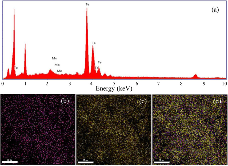 Energy dispersive X-ray (EDX) analysis and elemental mapping. (a) EDX spectrum showing peaks for Molybdenum (Mo) and Tellurium (Te). (b) Mo distribution map with magenta dots. (c) Te distribution map with yellow dots. (d) Combined map showing Mo and Te distribution. Each map scale is 10 micrometers.