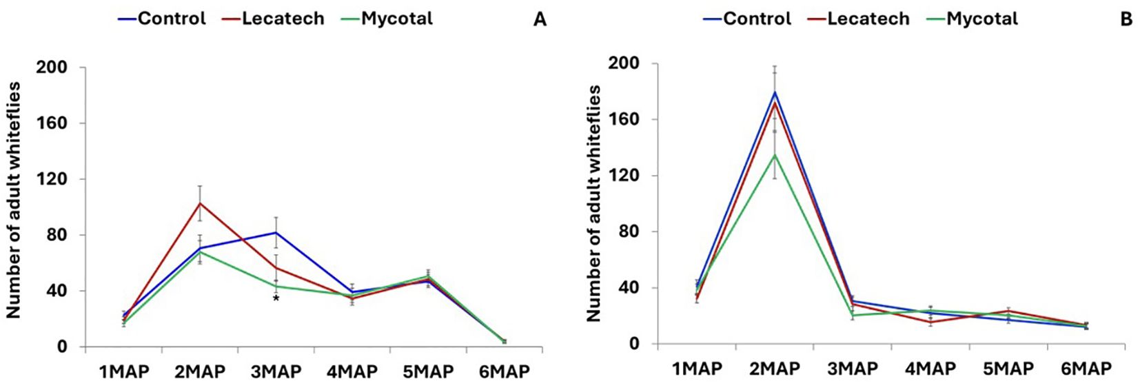 Two line graphs labeled A and B compare the number of adult whiteflies under three conditions: Control (blue), Lecatech (red), and Mycotal (green). The x-axis represents months after planting (1MAP to 6MAP), and the y-axis shows the number of adult whiteflies, ranging from 0 to 200. In graph A, Lecatech peaks at 2MAP then declines, while in graph B, all three lines show a higher peak at 2MAP before decreasing similarly. Error bars indicate variability.
