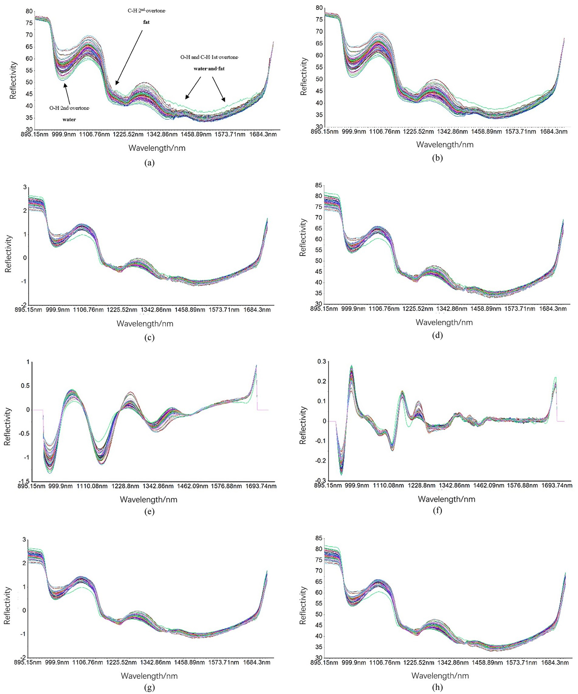 Eight graphs depict reflectivity versus wavelength in nanometers, labeled (a) to (h). Each graph shows multiple overlapping spectral lines. Annotations on graph (a) highlight C-H and O-H overtones for water and fat. The x-axis ranges from 895.15 nm to 1684.3 nm. Reflectivity varies across graphs, with maximum near 80 for some and around 3 for others.