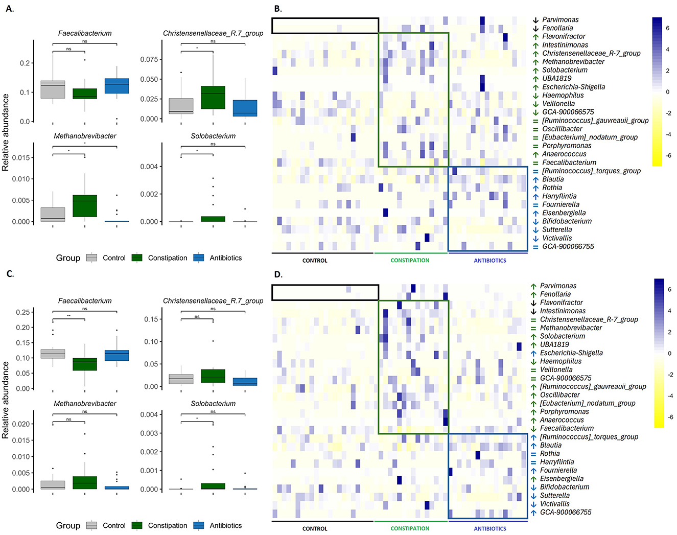Box plots and heatmaps showing microbial abundance and distribution across control, constipation, and antibiotics groups. Panels A and C display box plots for four bacterial groups: Faecalibacterium, Christensenellaceae_R-7_group, Methanobrevibacter, and Solobacterium. Panels B and D are heatmaps with color gradients indicating relative abundance of various genera. Group differences are visually highlighted.