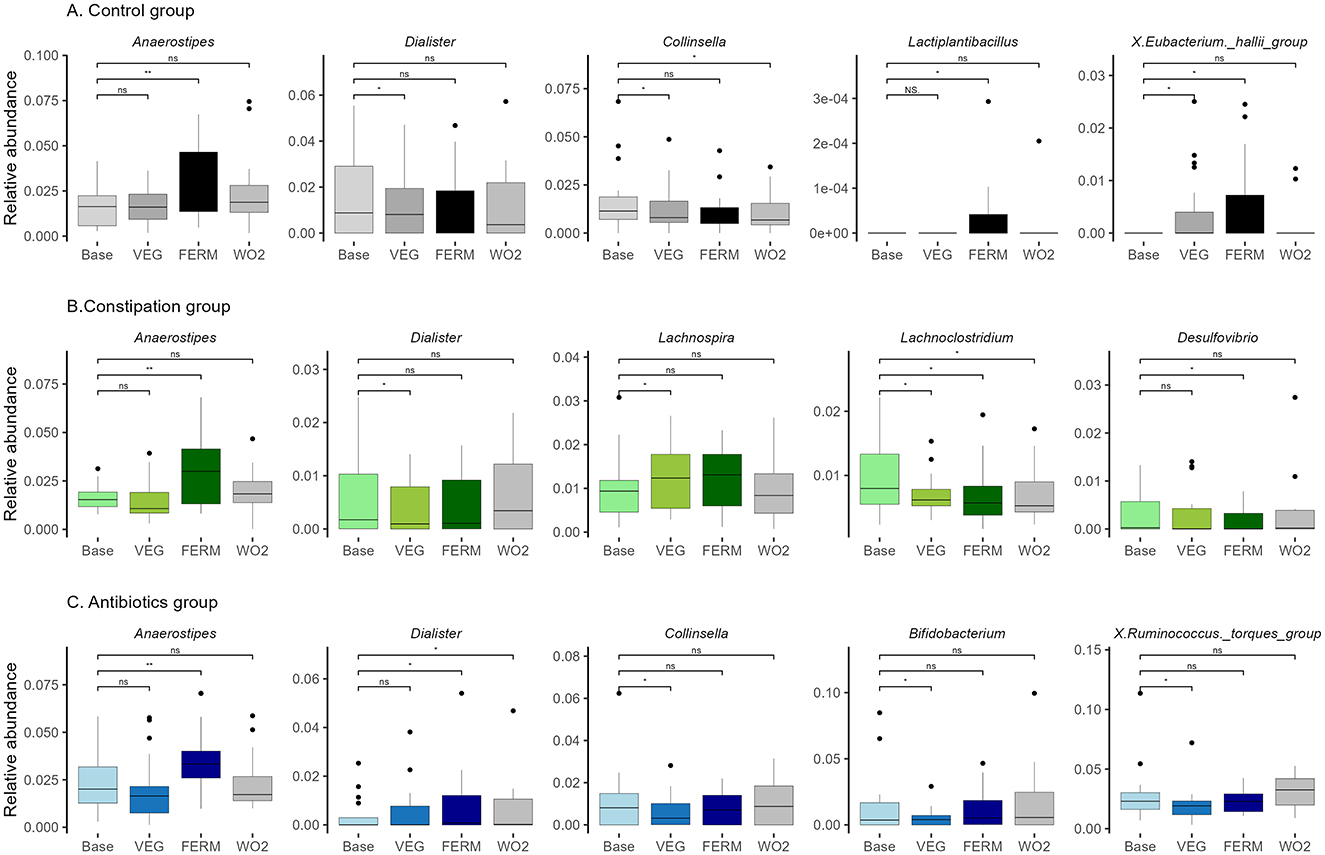 Box plots displaying the relative abundance of various bacterial genera across three groups: Control, Constipation, and Antibiotics. Each group shows data for different genera: Anaerostipes, Dialister, and others, comparing stages labeled Base, VEG, FERM, and WO2. Statistical significance is marked, with asterisks indicating different levels. Outliers are presented as dots.