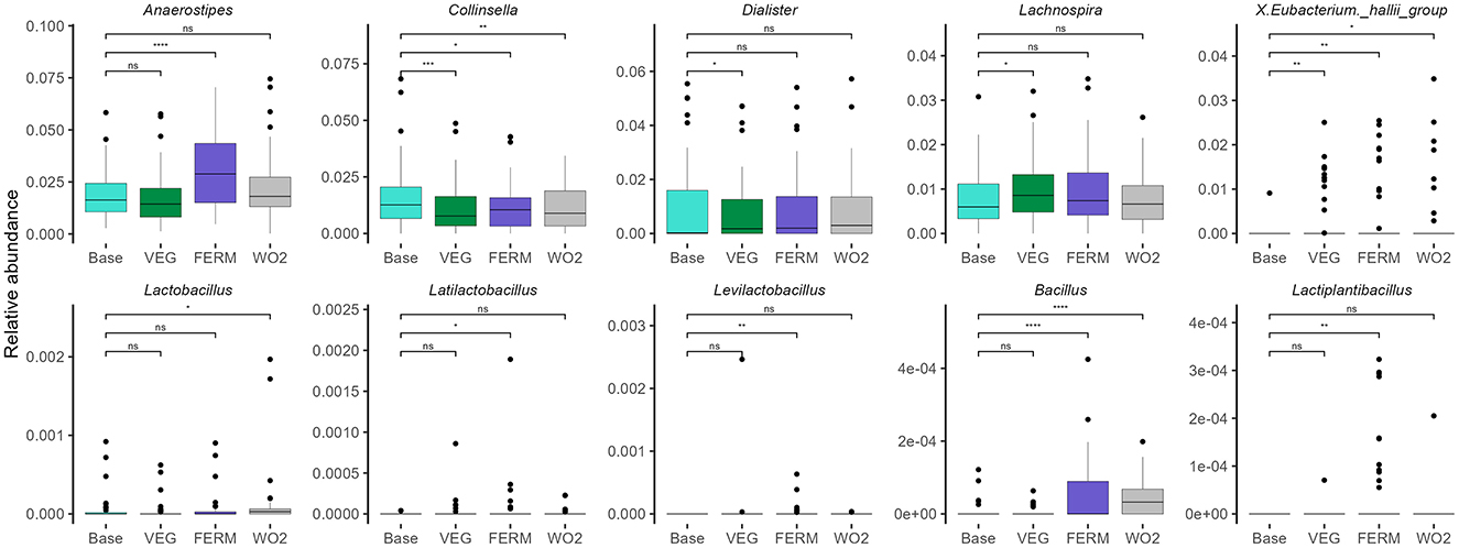 Box plots displaying the relative abundance of various bacterial genera across four conditions: Base, VEG, FERM, and WO2. Genera shown include Anaerostipes, Collinsella, Dialister, Lachnospira, X. Eubacterium hallii group, Lactobacillus, Lacticaseibacillus, Levilactobacillus, Bacillus, and Lactiplantibacillus. The plots illustrate changes in abundance with statistical significance marked for some comparisons.