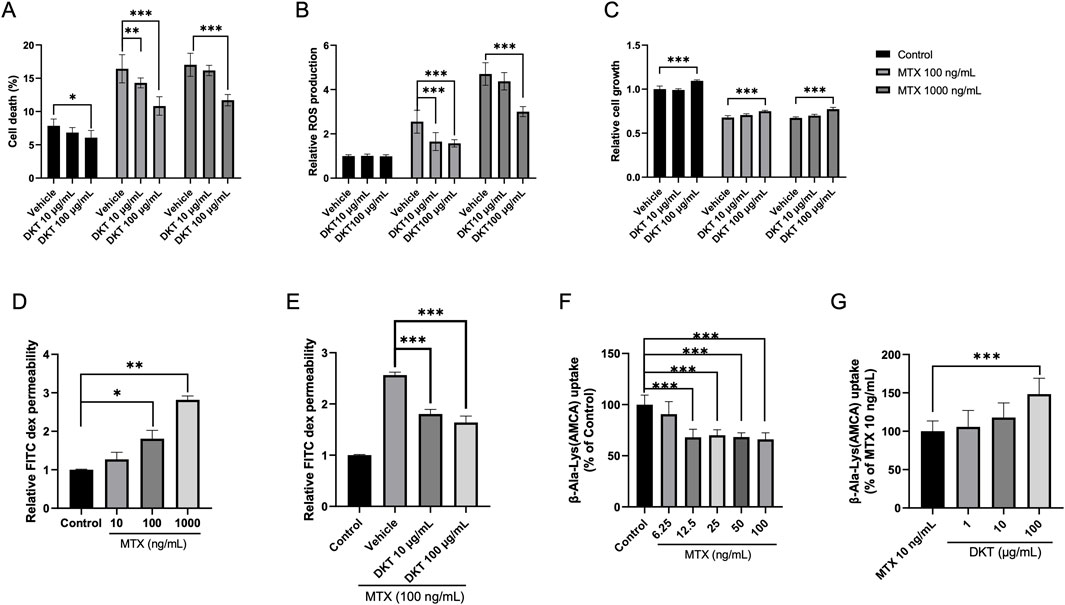 Bar charts showing various experimental results. A: Cell death percentage with different treatments; higher MTX concentrations increase cell death.B: Relative ROS production; MTX increases ROS levels significantly.C: Cell growth as a percentage of control; high MTX reduces growth.D: FITC dex uptake percentage with increasing MTX doses.E: FITC dex uptake with DKT treatment at MTX 100 ng/mL.F: β-Ala-Lys(AMCA) uptake decreases with increasing MTX.G: β-Ala-Lys(AMCA) uptake with DKT treatment at MTX 10 ng/mL; uptake increases with higher DKT. Statistical significance is indicated with asterisks.