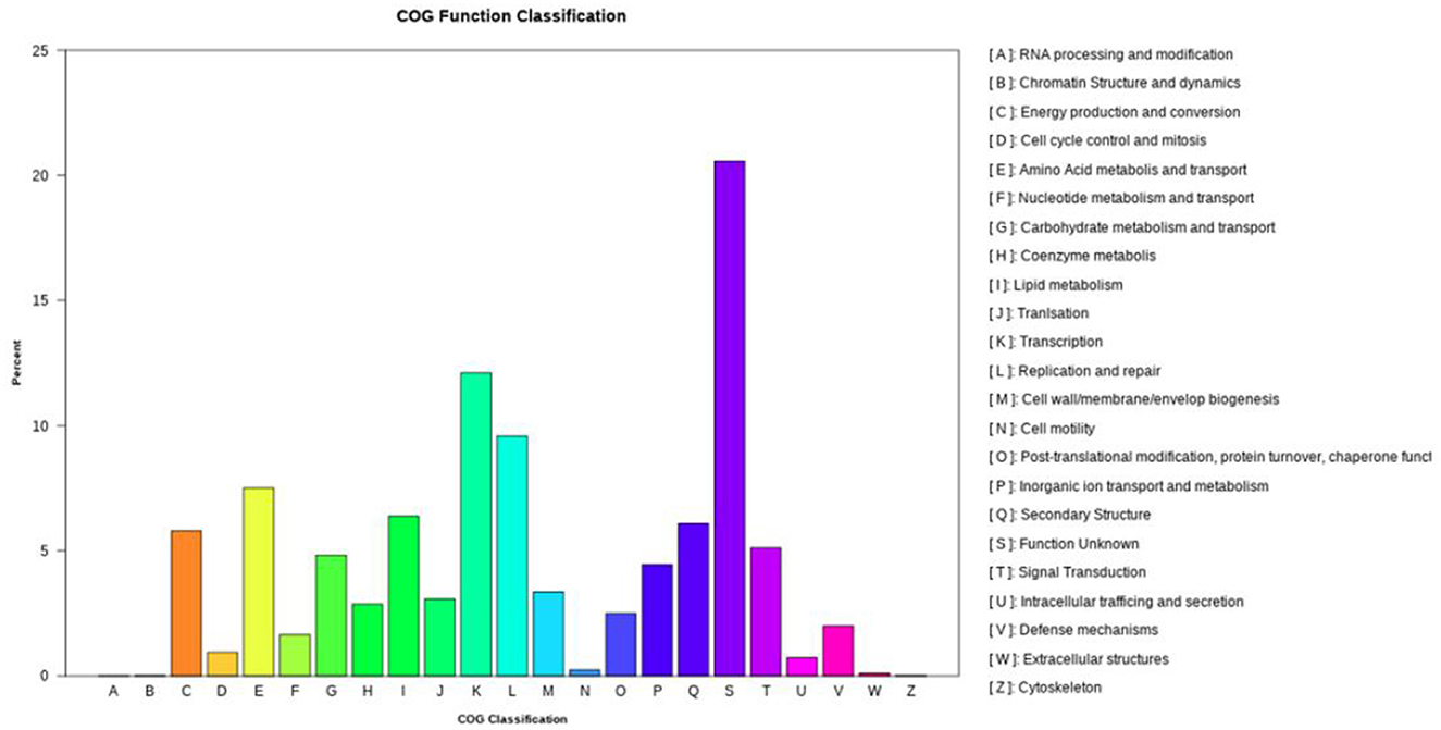 Bar chart depicting COG function classification, showing various categories from A to Z on the x-axis and percentage on the y-axis. Category S has the highest percentage, over 20%. Categories J, K, E, and G also show noticeable percentages. The chart is color-coded and has a key explaining each classification, such as A for RNA processing and modification and S for function unknown.