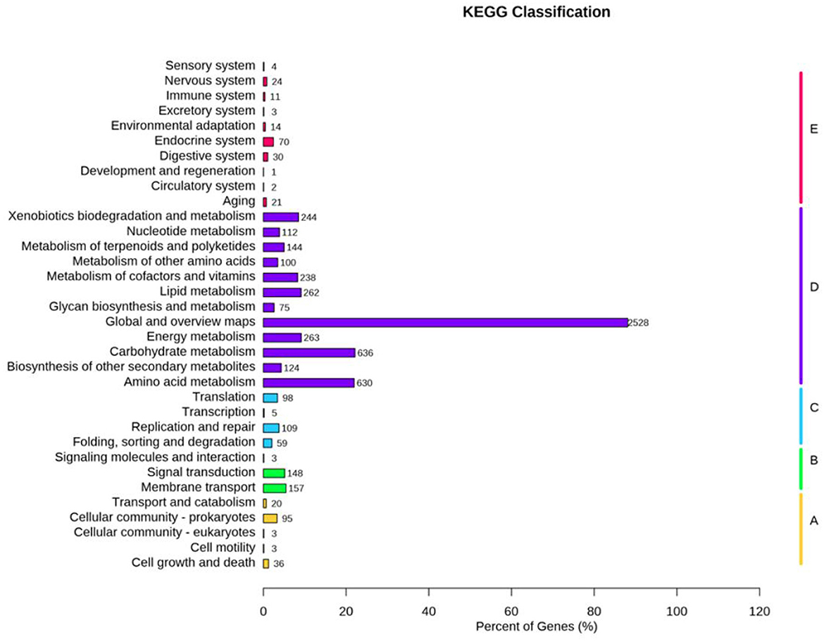 Bar chart showing KEGG Classification of genes across various biological categories. Categories include sensory system, immune system, metabolism (carbohydrate, energy, lipid), and others. Glycan biosynthesis and metabolism have the highest percentage at 100%, while most others are below 50%. Each category is grouped by letters E to A with distinct colors.