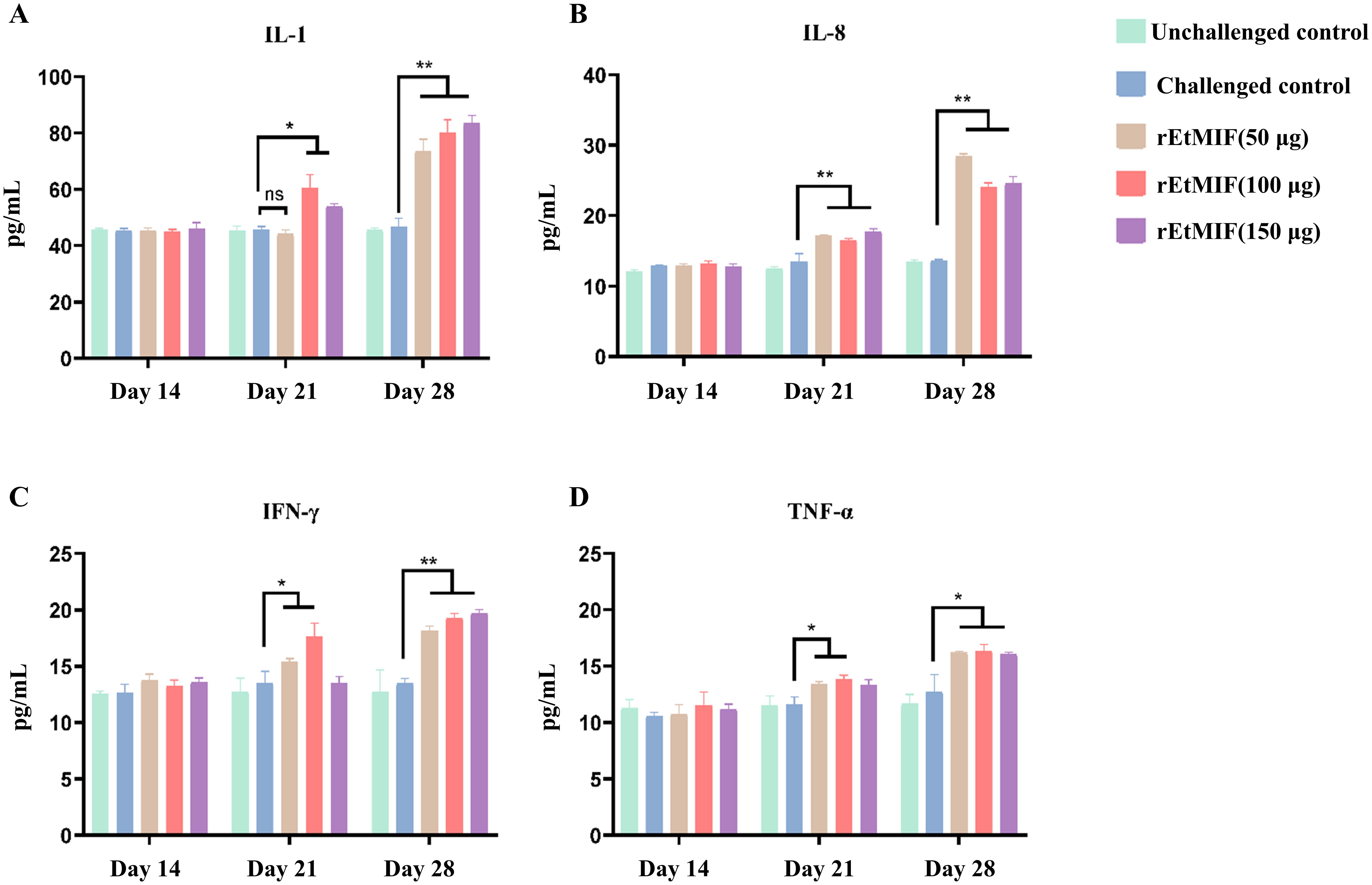 Bar graphs illustrating the levels of IL-1, IL-8, IFN-γ, and TNF-α over time. Groups A to E are depicted with different colors. Measurements are shown for Days 14, 21, and 28. Significant differences are indicated with asterisks. Each graph includes a key identifying the groups, including controls and varying dosages of rEtMIF.