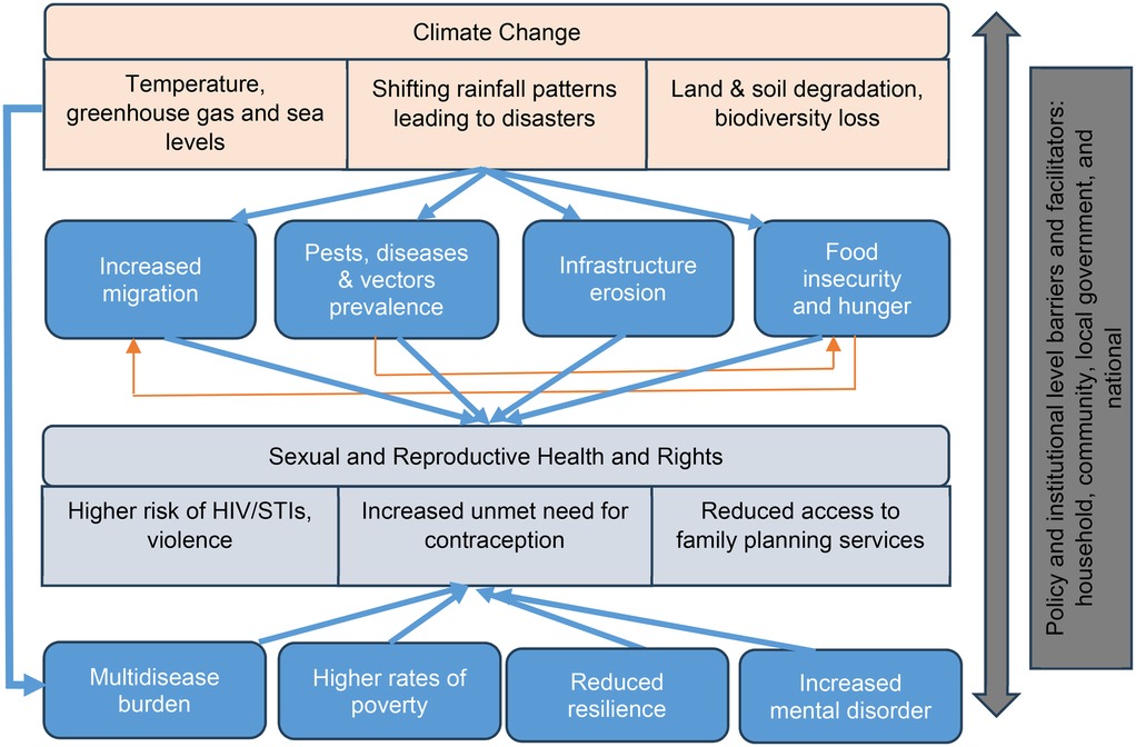 Flowchart illustrating the impacts of climate change on sexual and reproductive health. Climate change factors include temperature rise, shifting rainfall, and land degradation, leading to increased migration, disease prevalence, infrastructure erosion, and food insecurity. These factors affect sexual and reproductive health, increasing risks of HIV, unmet contraceptive needs, and reducing access to family planning. Consequences include a multidisease burden, higher poverty rates, reduced resilience, and increased mental disorders. Policy and institutional barriers are indicated alongside.