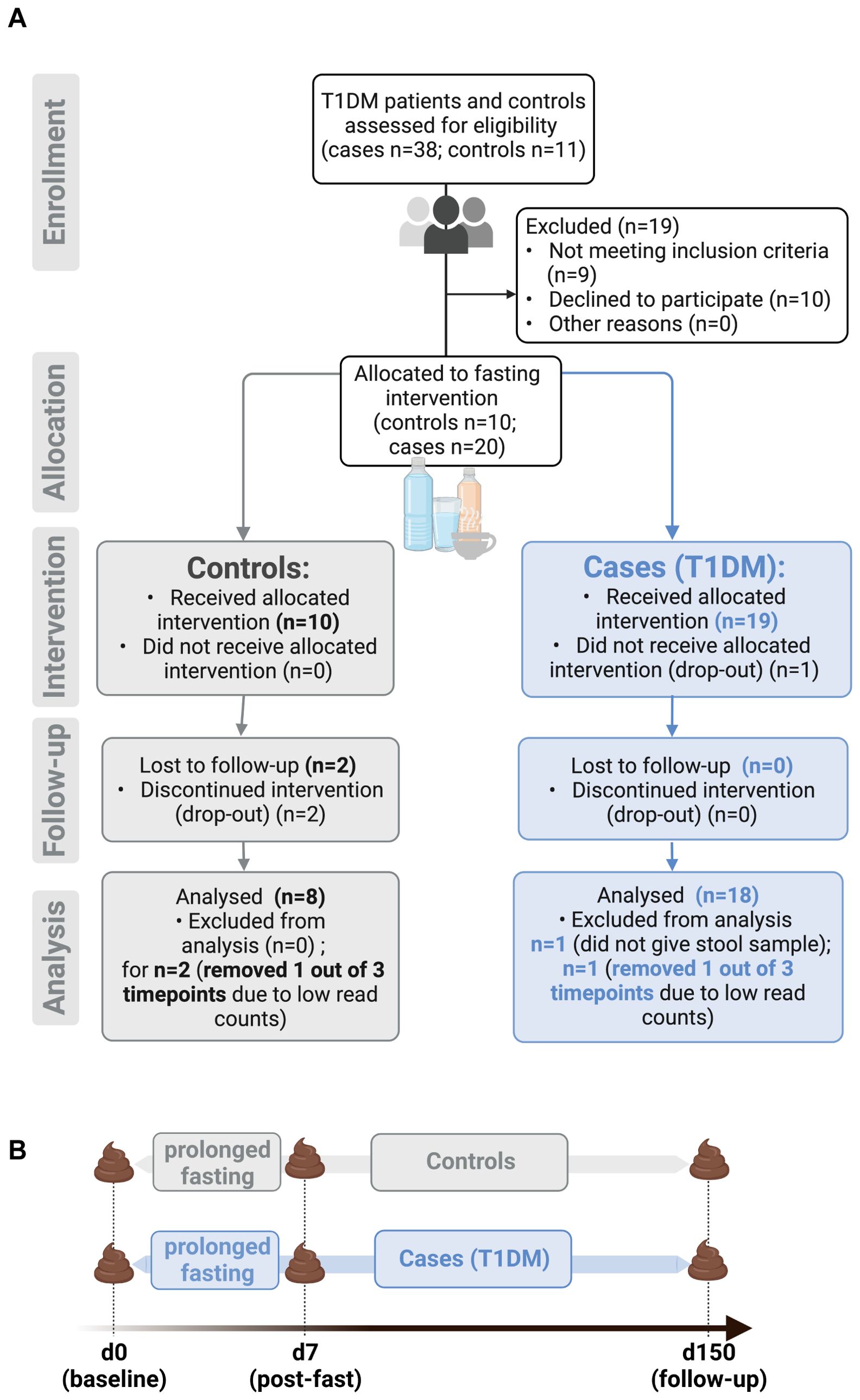 Flowchart showing a study on fasting in T1DM patients and controls. Panel A describes participant enrollment: 38 T1DM cases and 11 controls assessed, 19 excluded. 10 controls and 19 cases received intervention. Follow-up noted 2 control dropouts, with 8 analyzed. Of 19 cases, 18 were analyzed; 1 lacked a stool sample. Panel B outlines the study timeline: baseline, post-fast on day seven, and follow-up on day one hundred fifty, with sample collection for both groups.