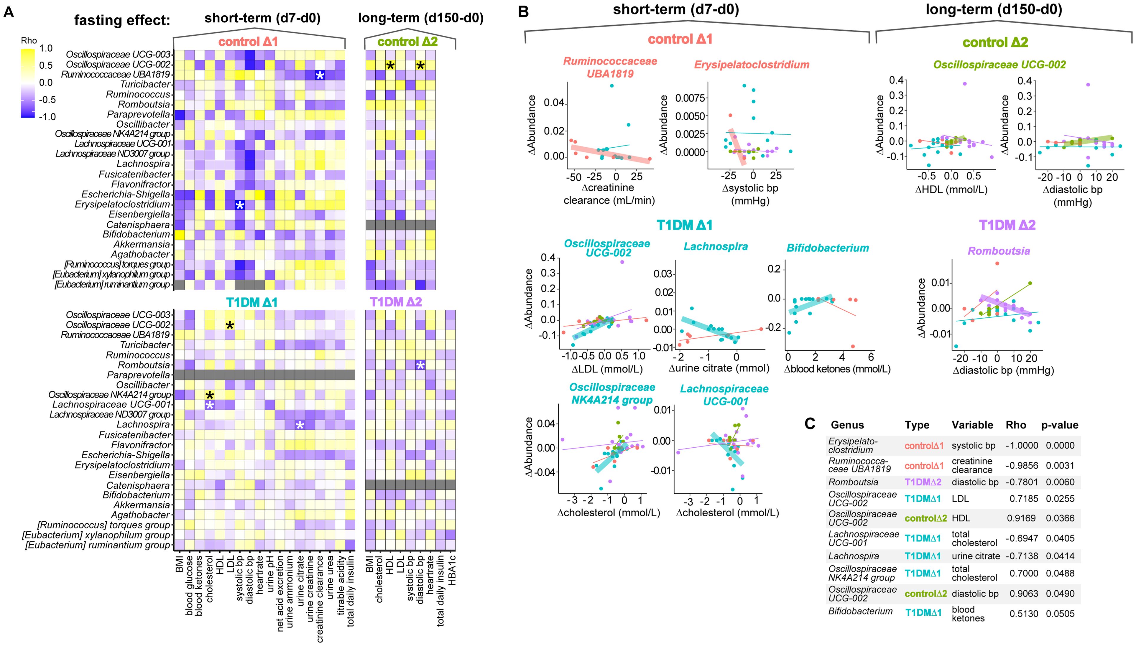 Heatmaps, scatter plots, and tables depict the impact of fasting on gut microbiota and health variables for short-term (d7-d0) and long-term (d150-d0) periods. Section A shows heatmaps with microbial taxa and their correlations. Section B includes scatter plots displaying microbial abundance changes relative to various health measures. Section C presents a table summarizing significant correlations with rho and p-values. Different conditions are labeled as control and T1DM, with distinctions between short-term and long-term effects.