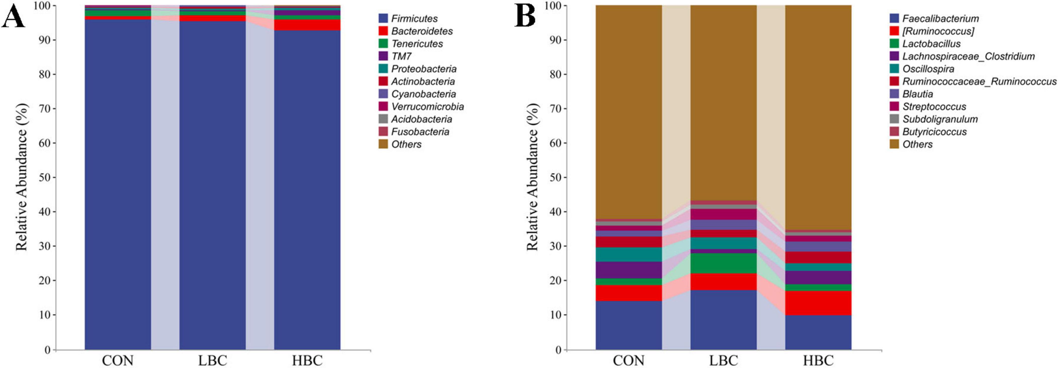 Bar charts labeled A and B depict the relative abundance of different bacterial taxa. Chart A shows distribution among phyla like Firmicutes and Bacteroidetes, predominantly in blue. Chart B displays genera such as Faecalibacterium and Lactobacillus, with a variety of colors. The x-axis contains three groups: CON, LBC, and HBC.