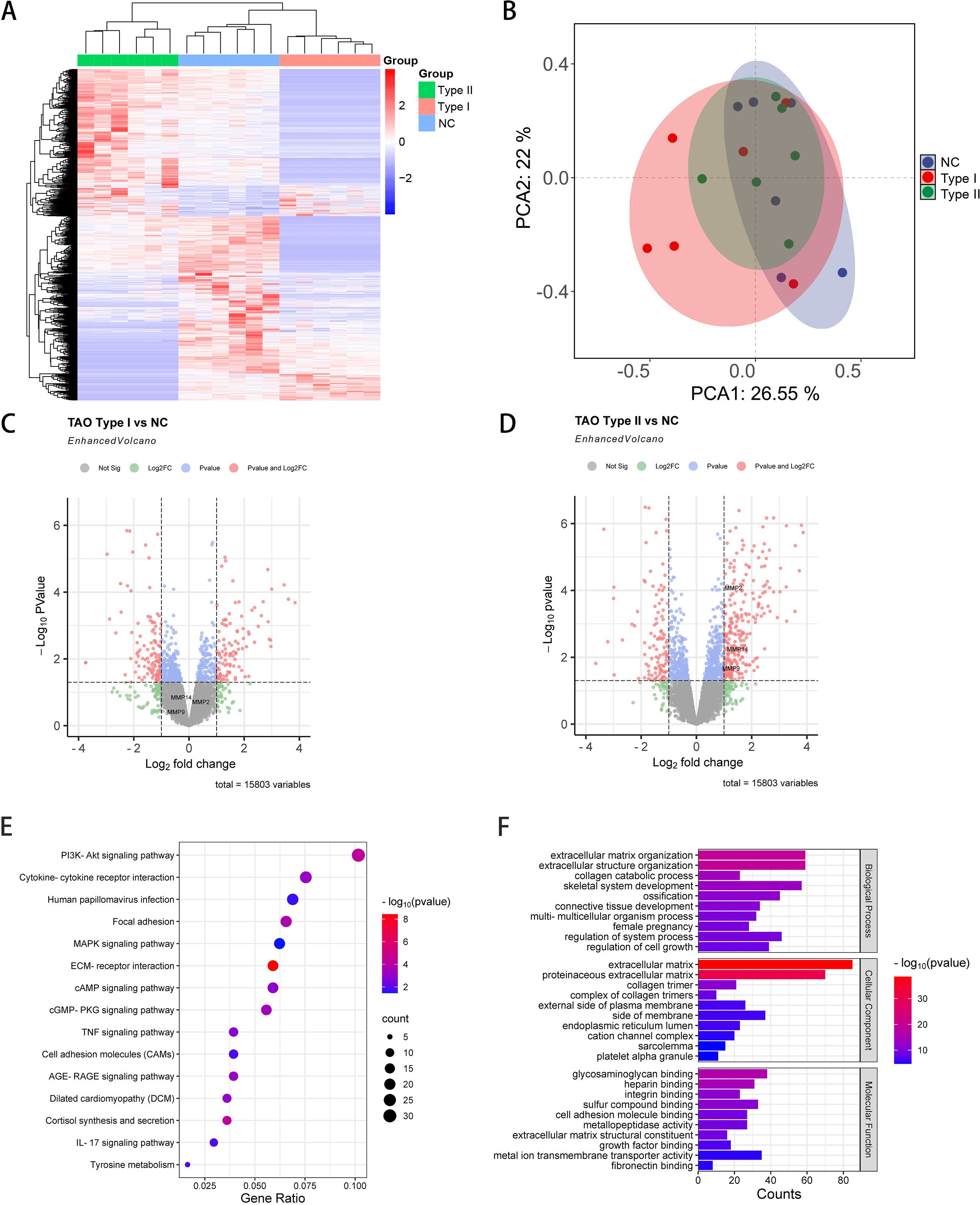 Panel A is a heatmap showing gene expression clustered into Type I, Type II, and NC groups. Panel B is a PCA plot displaying three colored ellipses representing different groups. Panels C and D are volcano plots illustrating log2 fold change versus -log10 p-value for TAO Type I and Type II compared to NC. Panel E is a bubble chart indicating gene pathways, with bubble size and color denoting count and p-value, respectively. Panel F is a bar chart categorizing gene ontology with bars colored by p-value, indicating biological processes, cellular components, and molecular functions.