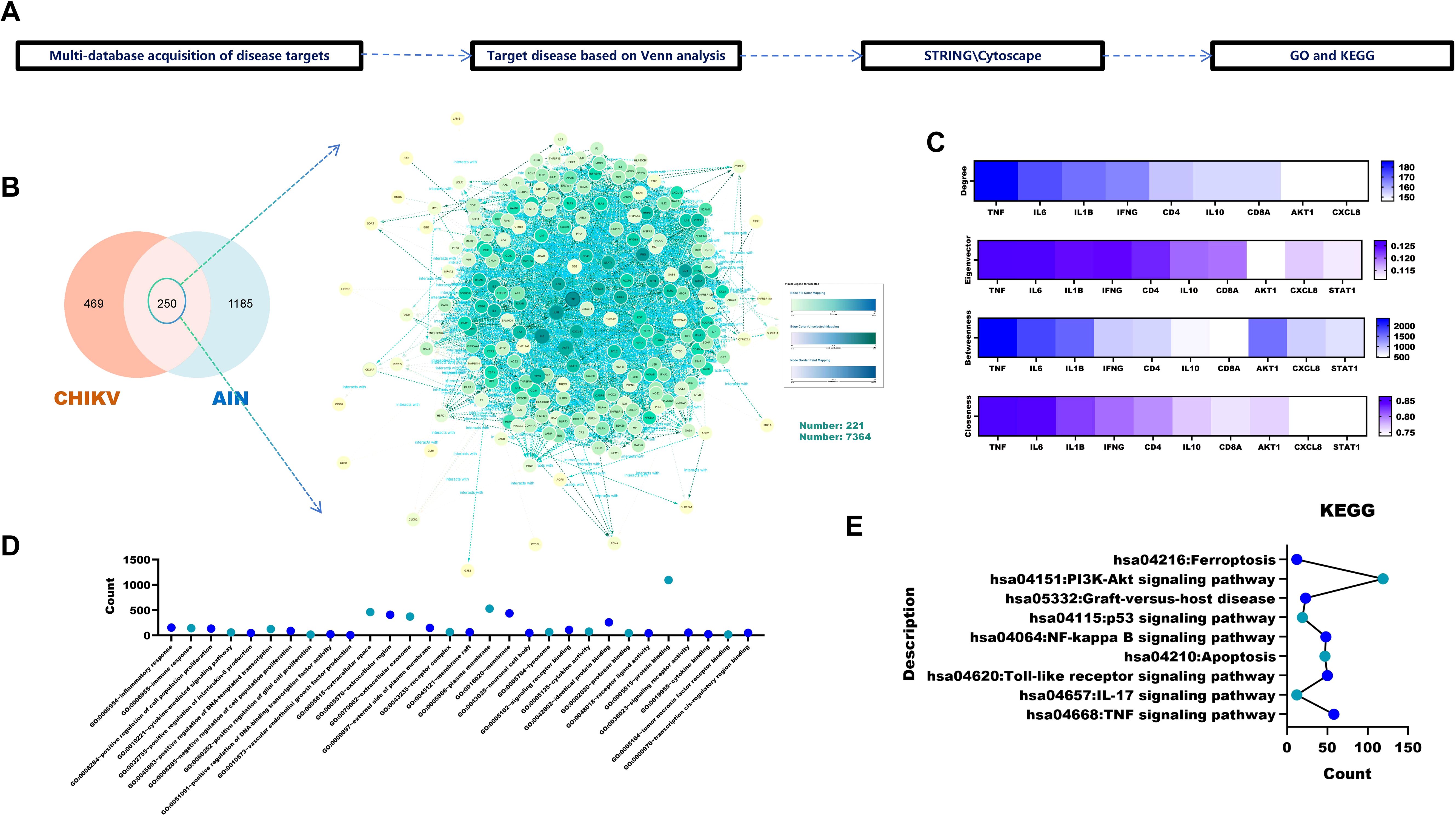Flowchart illustrating multi-database acquisition of disease targets leading to GO and KEGG analysis. Venn diagram shows overlap between CHIKV and AIN targets. Network graph and bar charts display data on connectivity metrics like degree, eigenvector, betweenness, and closeness for proteins, and biological processes. KEGG pathways listed with associated counts.