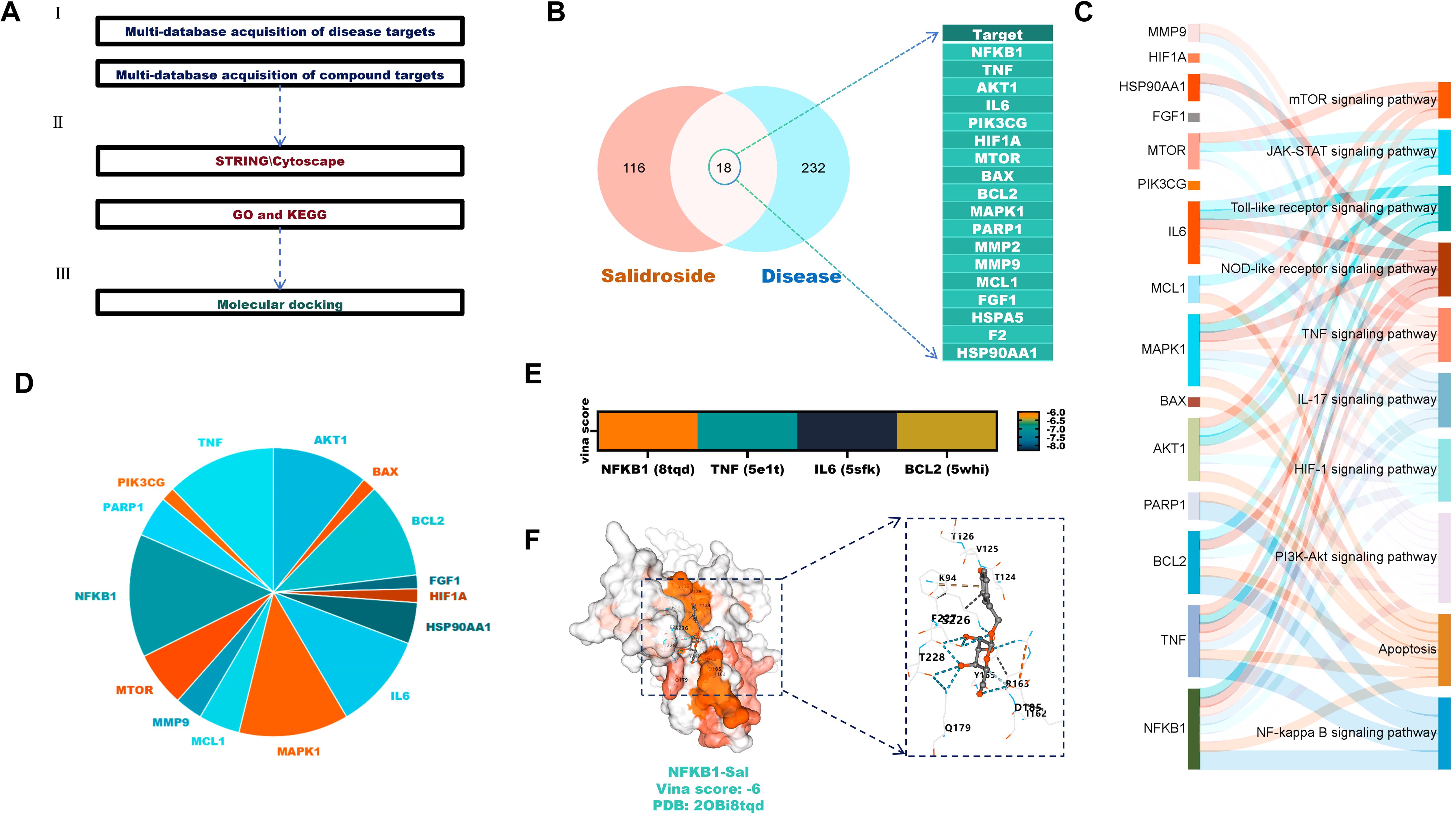 Flowchart of research process (A) shows steps from multi-database acquisition to molecular docking. Venn diagram (B) highlights shared targets between Salidroside and disease. Pathway-target interaction (C) links various targets with signaling pathways. Pie chart (D) represents the proportion of each target. Bar graph (E) presents Vina scores for different targets, indicating binding affinity. Molecular docking image (F) shows structure of NFKB1-Sal complex with specific residues marked.