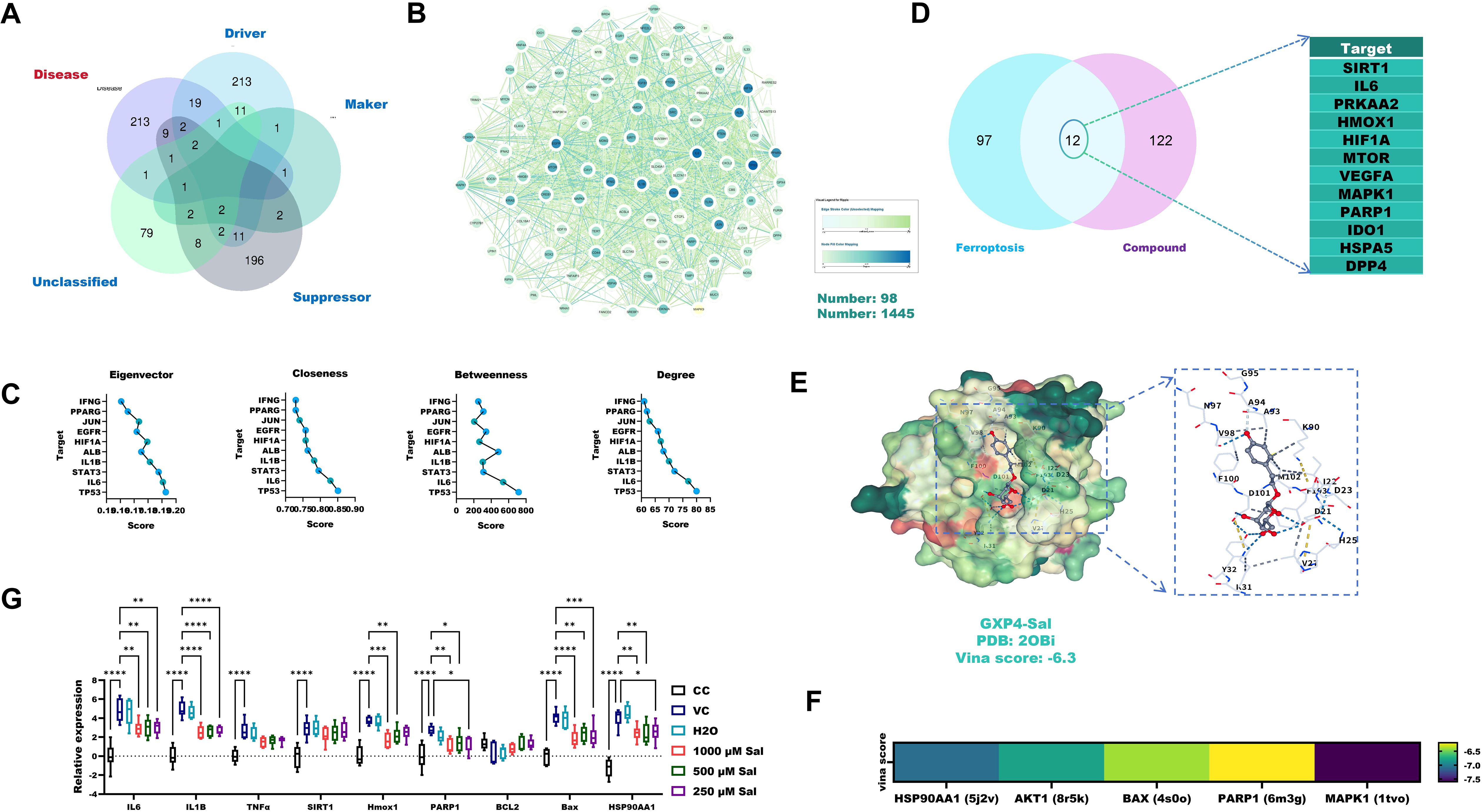 Diagram illustrating various analyses. Panel A shows a Venn diagram of overlapping categories: Disease, Driver, Maker, Unclassified, Suppressor. Panel B is a network map with numerous nodes connected by lines. Panel C presents charts comparing scores of targets (like IFNG, PPARG) across metrics: Eigenvector, Closeness, Betweenness, and Degree. Panel D features a Venn diagram highlighting intersections in Ferroptosis and Compound. Panel E depicts a molecular structure with labeled interactions. Panel F shows a color-coded score bar for multiple targets. Panel G provides a box plot of relative expression levels for targets like IL6, TNFa under different conditions.