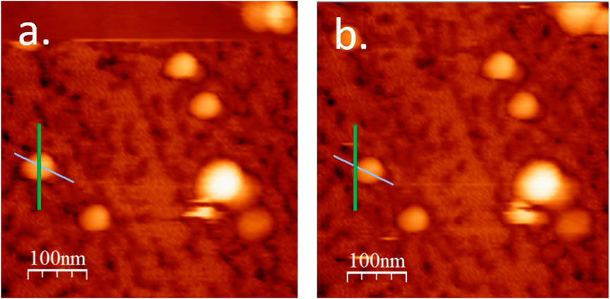 Two side-by-side atomic force microscopy images labeled