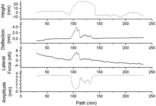 Graph showing three plots on a path from 0 to 250 nanometers. The first plot depicts height increasing to around 15 nanometers near the center before returning to baseline. The second plot shows deflection peaking sharply at about 2 nanometers and then stabilizing. The third plot displays lateral force decreasing to around -3 nanonewtons, reaching a low point before increasing slightly. The final plot shows a drop in amplitude from around 3.5 to 2 nanometers, with variability before steadying.