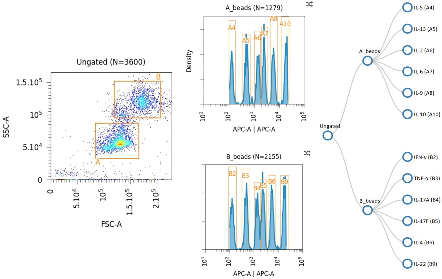 Flow cytometry analysis showing an ungated scatter plot with two regions marked as A and B. Two histograms compare density of A and B beads based on APC-A values. The bead subsets correlate with cytokines, displayed in a chart on the right. A_beads (N=1279) include IL-5, IL-13, IL-2, IL-6, IL-9, IL-10; B_beads (N=2155) include IFN-γ, TNF-α, IL-17A, IL-17F, IL-4, IL-22.