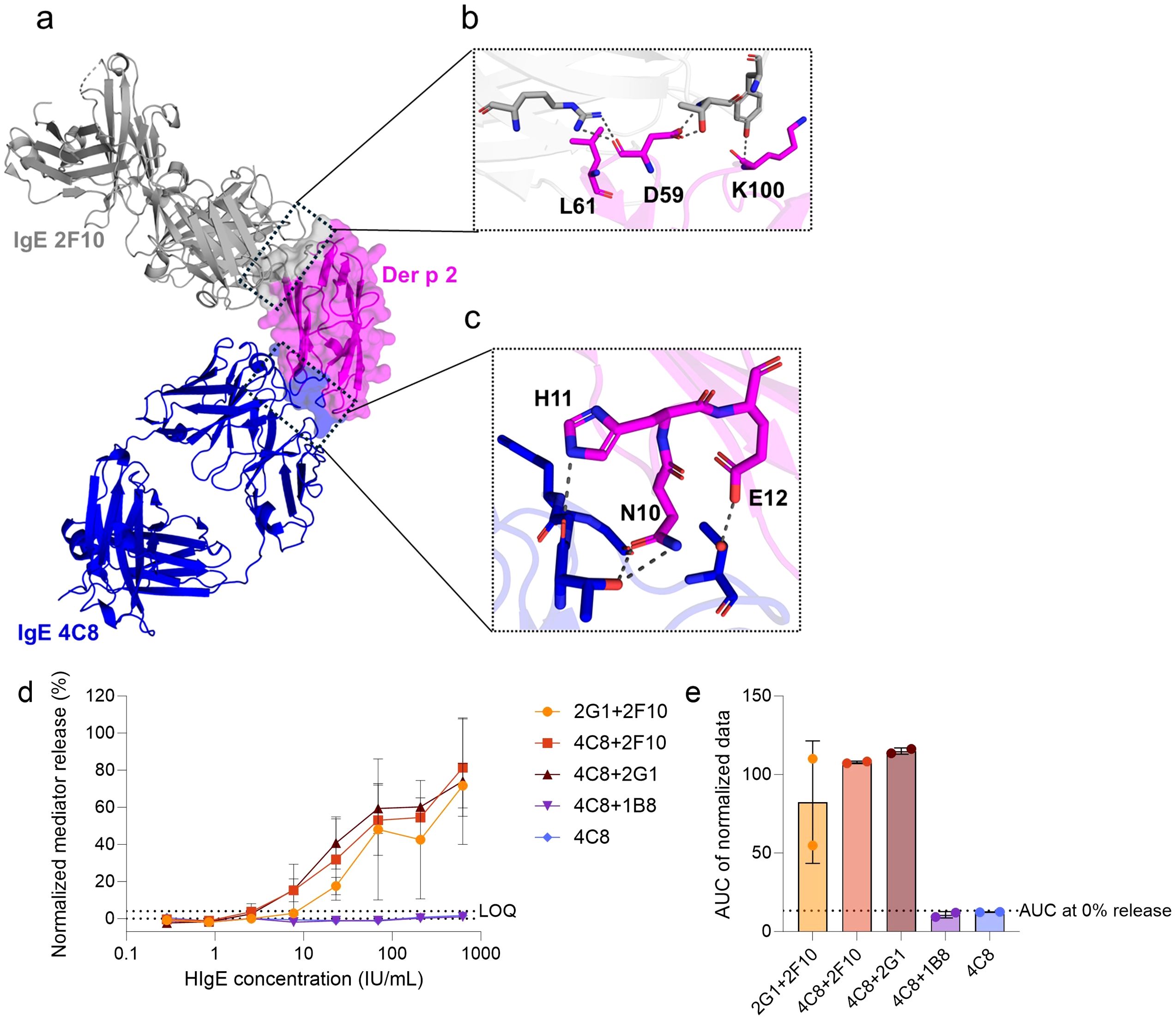 Molecular diagram showing two IgE antibodies, 2F10 and 4C8, interacting with Der p 2, highlighted in pink, with detailed insets (b and c) showing specific amino acid interactions (D59, L61, K100, H11, N10, E12). Graphs (d and e) depict normalized mediator release and area under the curve (AUC) of normalized data at various hIgE concentrations, with different IgE combinations. Error bars indicate variability.