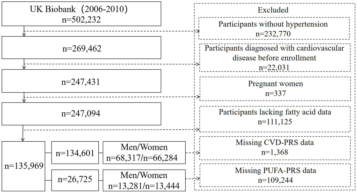 Flowchart depicting participant selection from the UK Biobank study conducted between 2006 and 2010. Starting with 502,232 participants, exclusions are made for those without hypertension, with pre-existing cardiovascular disease, pregnant women, and lacking fatty acid data, resulting in 135,969 participants divided into men/women groups.