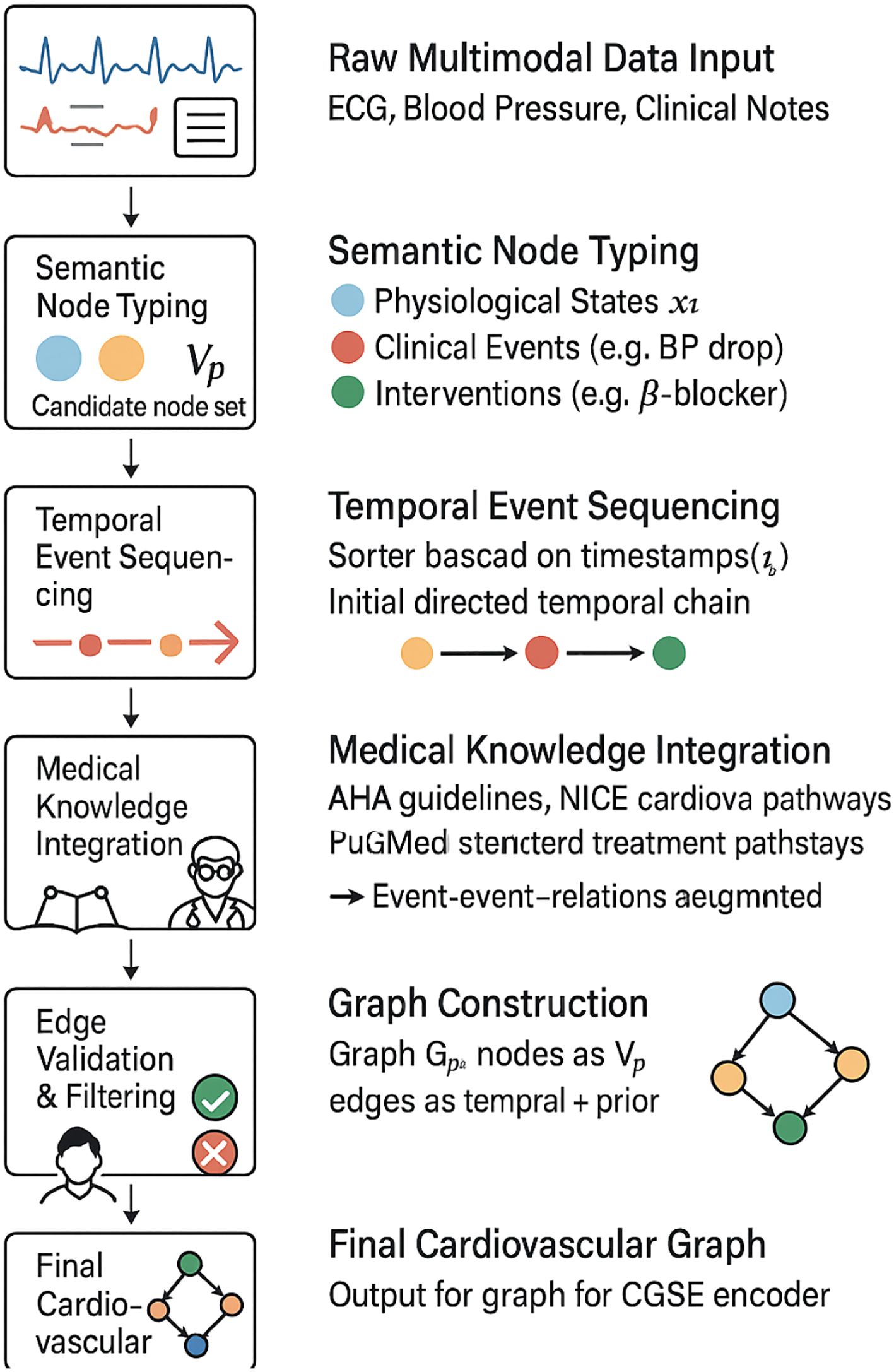 Flowchart for generating a cardiovascular graph from multimodal data. Steps include raw data input, semantic node typing (physiological states, clinical events, interventions), temporal event sequencing, medical knowledge integration, edge validation and filtering, and graph construction. Final output is a cardiovascular graph for CGSE encoding.