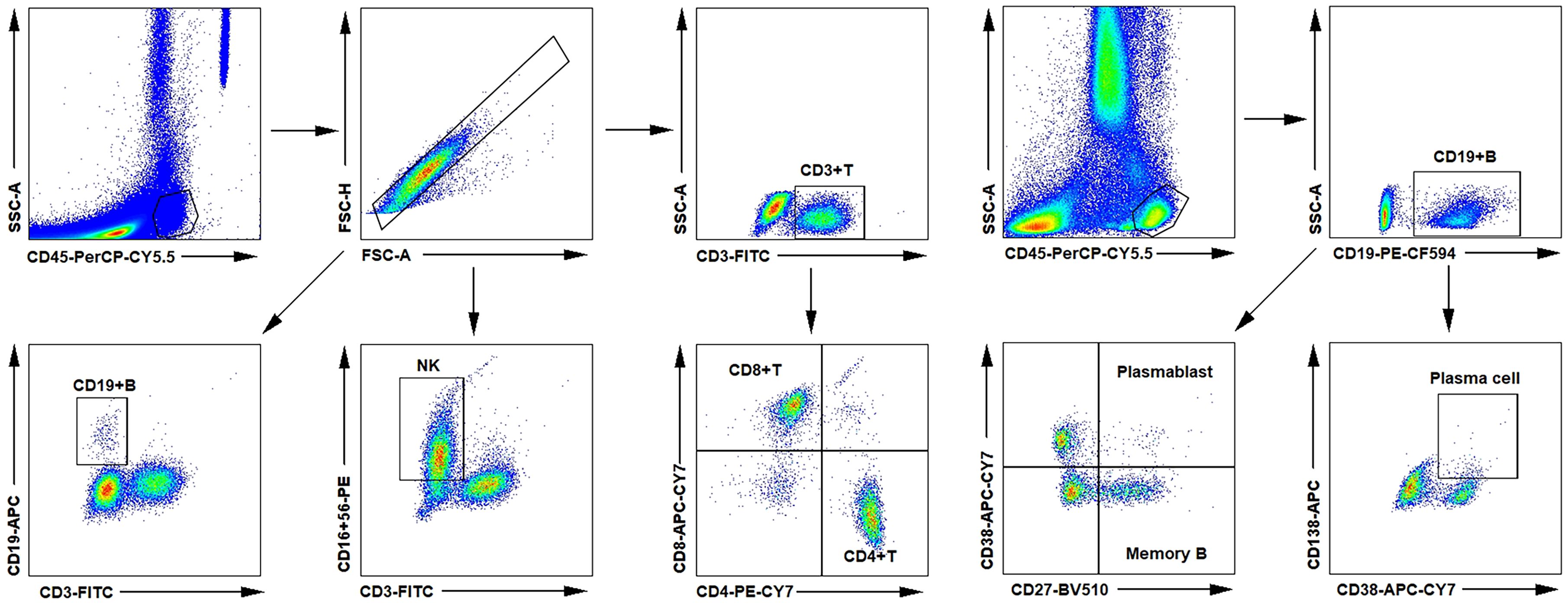 Flow cytometry plots showing cell populations. Top row displays gating strategies for CD45+ cells, then CD3+ T cells, CD19+ B cells. The middle row shows differentiation between NK, CD8+ T, and CD4+ T cells. Bottom row distinguishes CD19+ B cell subsets, plasmablasts, and plasma cells. Each plot highlights different markers used for cell identification.