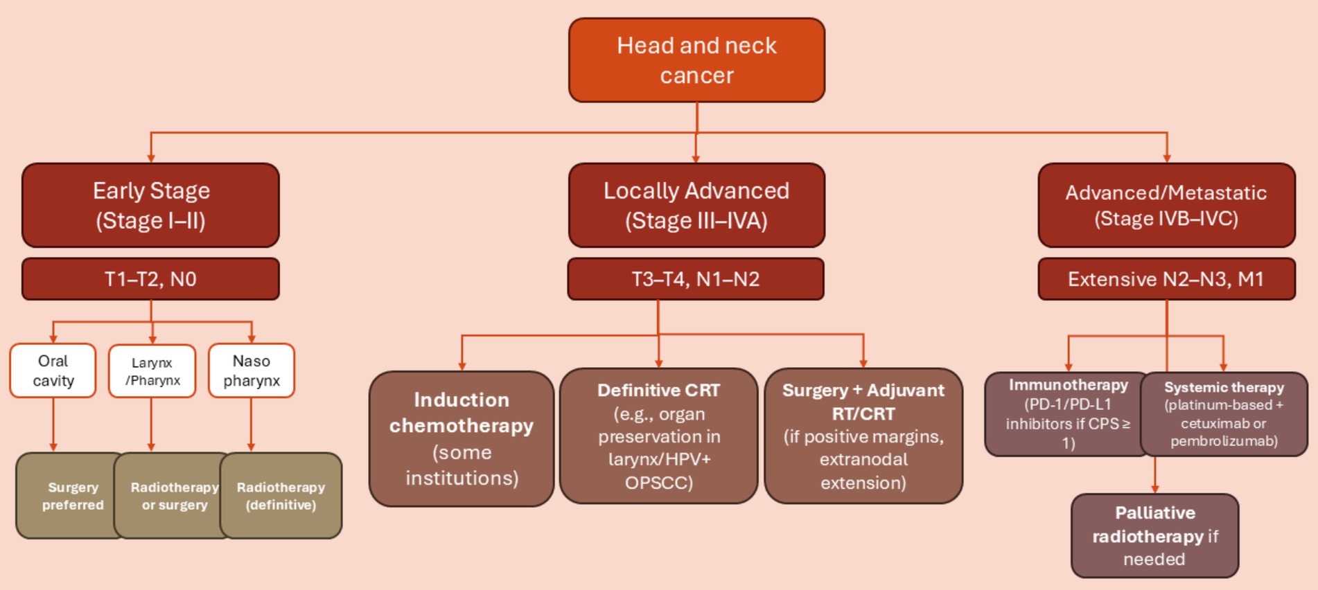 Flowchart illustrating treatment options for head and neck cancer stages. Early Stage (I-II): Surgery for oral cavity, radiotherapy or surgery for larynx/pharynx, and definitive radiotherapy for nasopharynx. Locally Advanced (III-IVA): Options include induction chemotherapy, definitive CRT, and surgery with adjuvant RT/CRT. Advanced/Metastatic (IVB-IVC): Immunotherapy or systemic therapy, with palliative radiotherapy if needed.