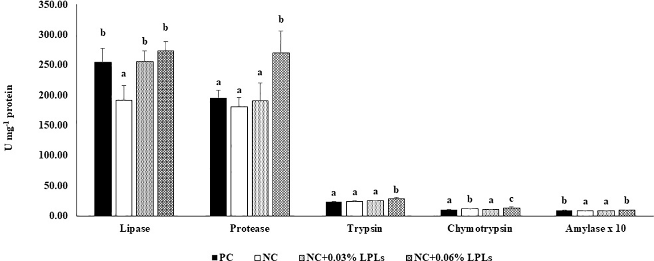 Bar chart comparing enzyme activities (Lipase, Protease, Trypsin, Chymotrypsin, and Amylase) in units per mg of protein across four treatments: PC, NC, NC with 0.03% LPLs, and NC with 0.06% LPLs. Error bars indicate variability, and letters (a, b, c) denote statistical significance. Lipase and Protease show the highest activity, particularly in LPL-supplemented treatments.