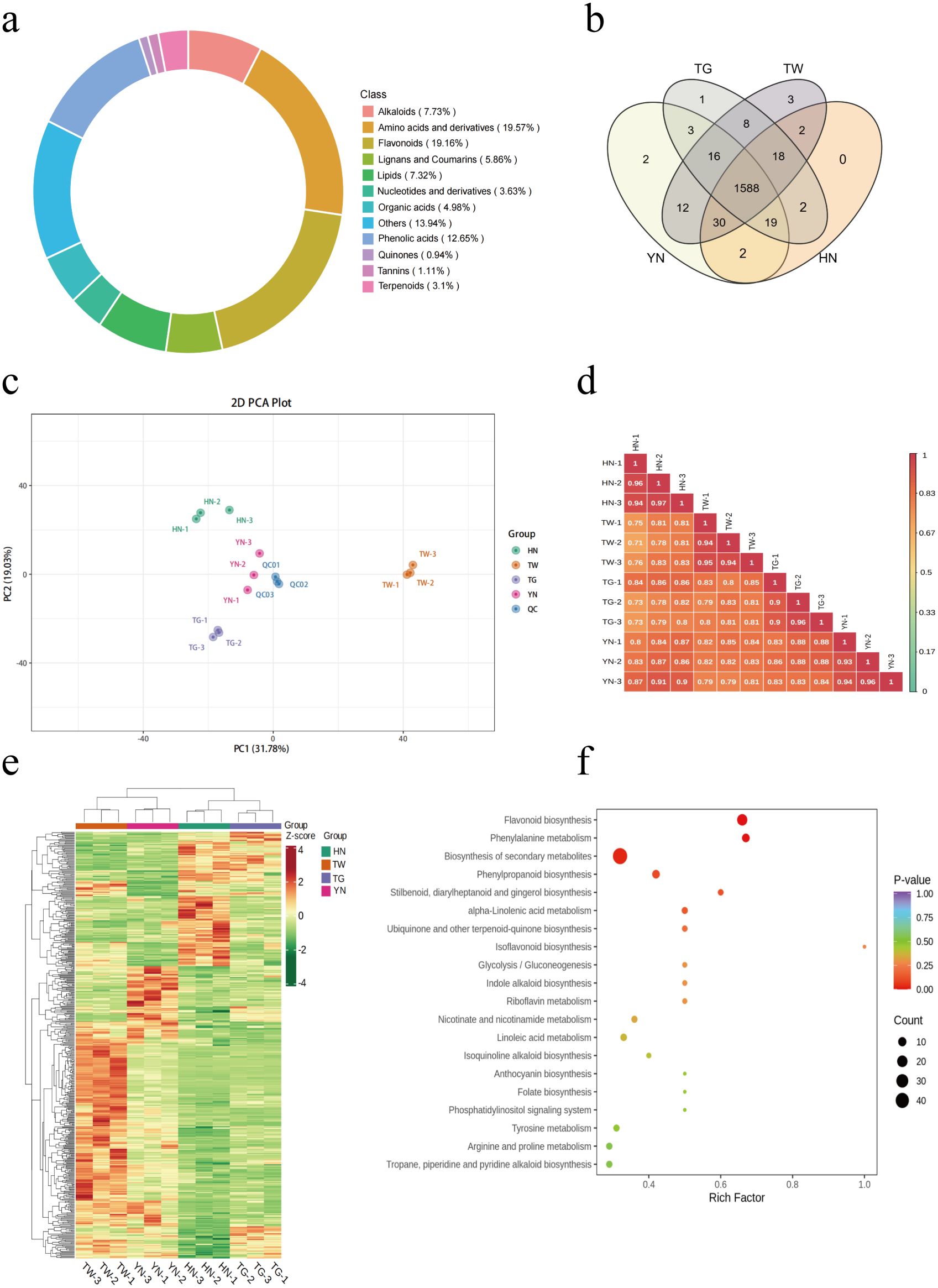 Panel a shows a donut chart depicting the classification of various classes, including alkaloids, amino acids, flavonoids, and others, with respective percentages. Panel b is a Venn diagram illustrating the overlap of four groups: TG, TW, YN, and HN, with shared and unique elements. Panel c is a two-dimensional PCA plot showing the grouping of samples HN, TW, TG, YN, and QC based on principal components. Panel d displays a heatmap of correlation coefficients between samples with a color-coded scale. Panel e is a clustered heatmap showing the expression of different groups with a Z-score scale. Panel f is a scatter plot of metabolic pathways with rich factors and p-values indicated by dot size and color.