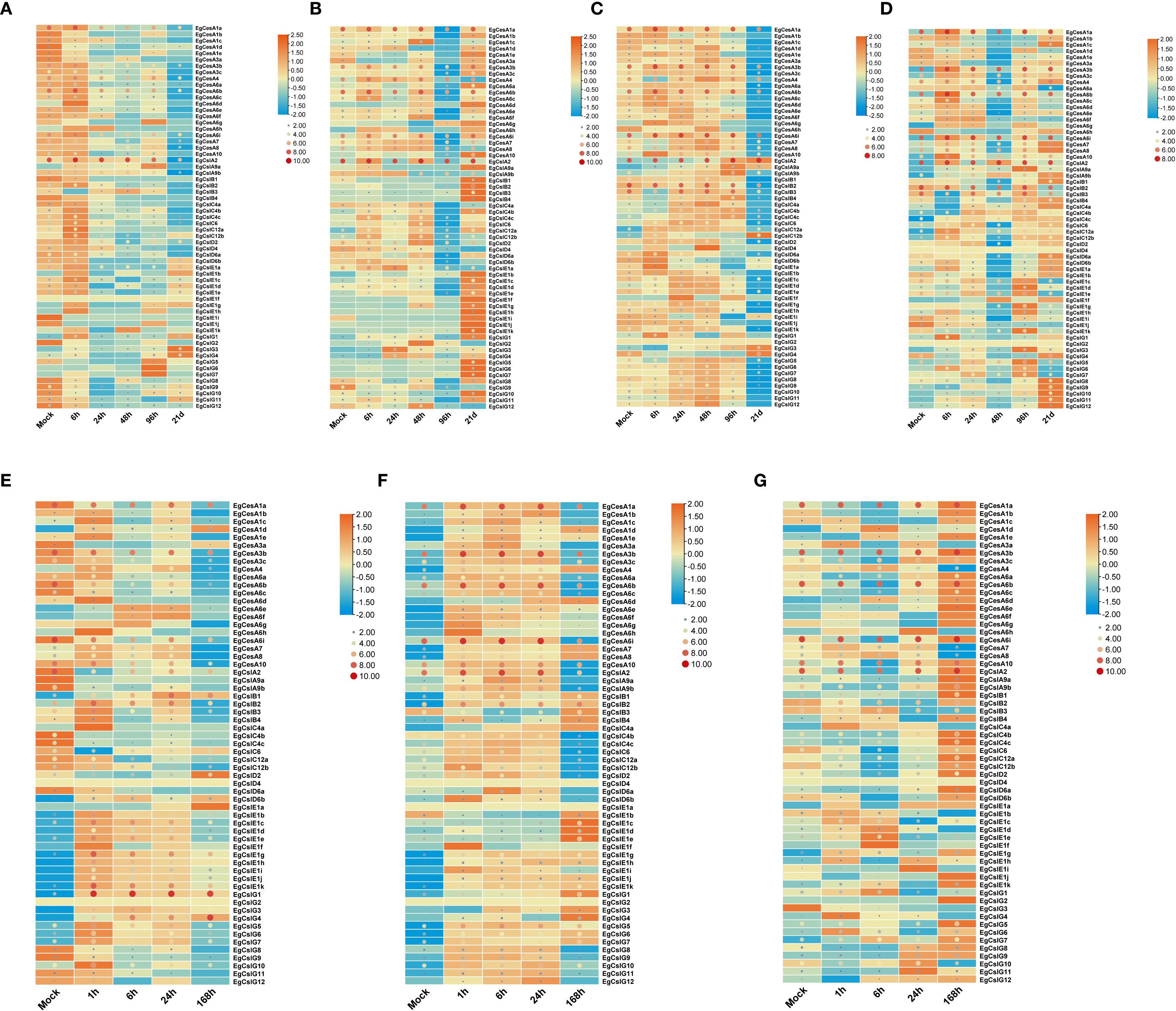 Heat maps A to G display gene expression levels across various time points: Mock, one hour, six hours, twenty-four hours, forty-eight hours, and seventy-two hours. Color gradients range from blue to orange, indicating low to high expression. Each map includes labeled genes and a color scale bar. Different red circle sizes highlight expression differences, increasing with larger circles.