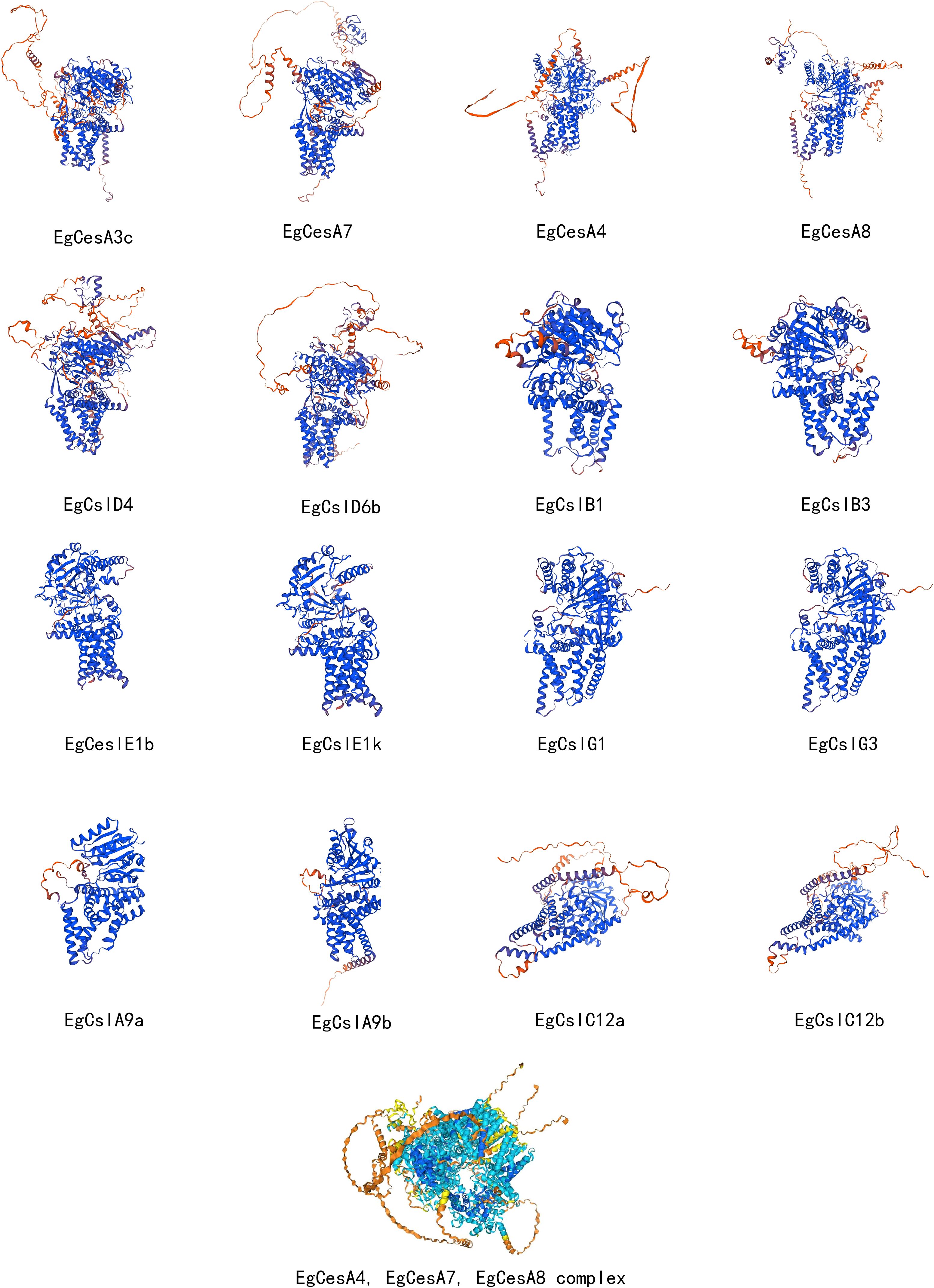 Proteins represented as molecular models with various structures. Each model is labeled with names such as EgCesA3c, EgCesA7, EgCsId4, among others. The models exhibit different folding patterns in blue, with some brown elements, and are organized in rows. The bottom image displays a complex structure combining EgCesA4, EgCesA7, and EgCesA8.