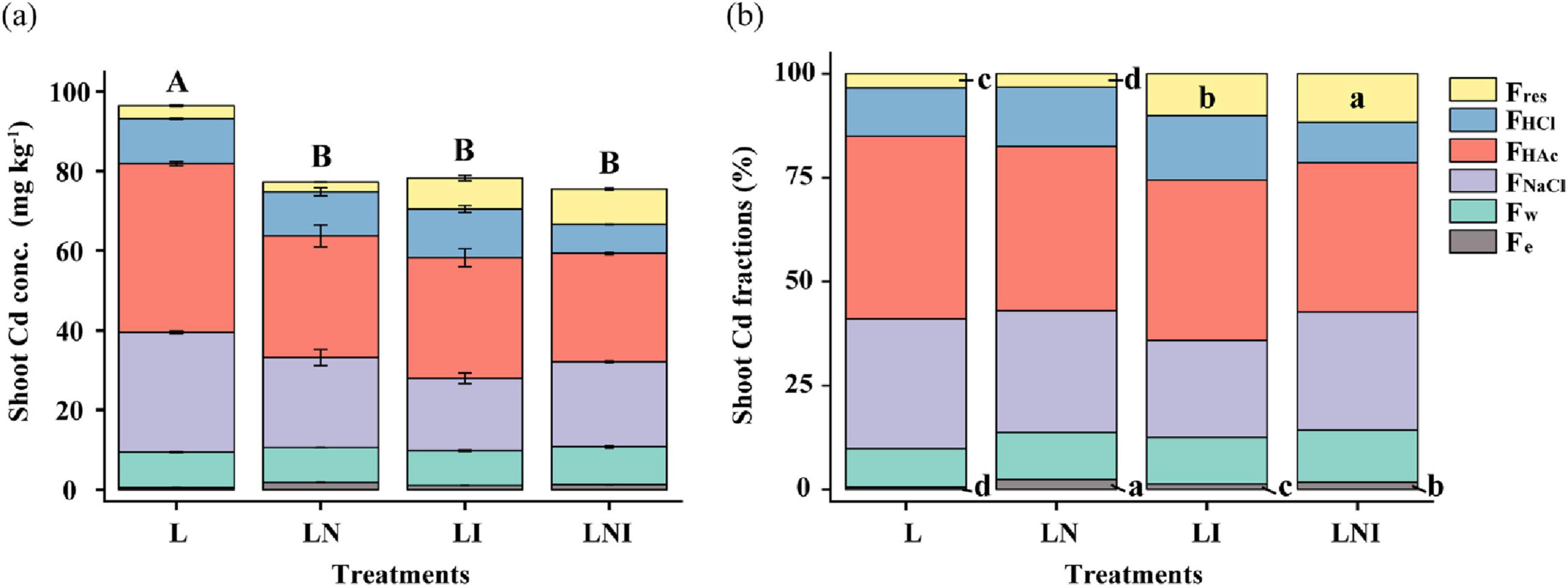Bar charts showing cadmium concentration and fractions in plant shoots. Chart (a) displays shoot cadmium concentration (mg/kg) with treatments L, LN, LI, and LNI, labeled with letters A and B. Chart (b) shows shoot cadmium fractions (%) for the same treatments, labeled with letters a, b, c, and d. Each bar is divided into segments representing F_res, F_HCl, F_HAc, F_NaCl, F_W, and F_e.