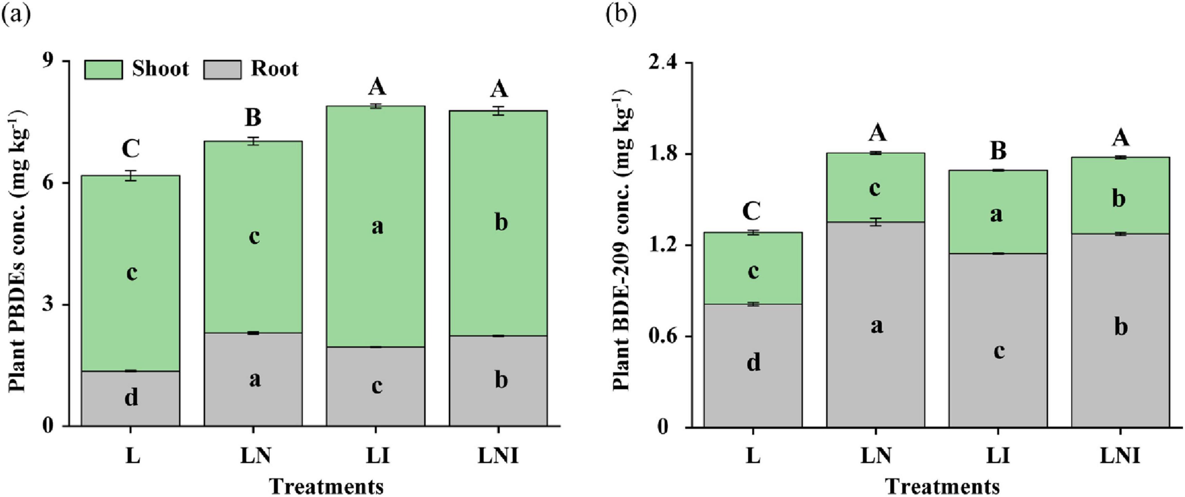 Bar charts labeled (a) and (b) display plant concentrations of PBDEs and BDE-209 in shoots and roots, respectively. Chart (a) shows higher PBDEs in treatment LI, while (b) shows similar BDE-209 concentrations across treatments. Shoots are in green and roots in gray, with marked significant differences.