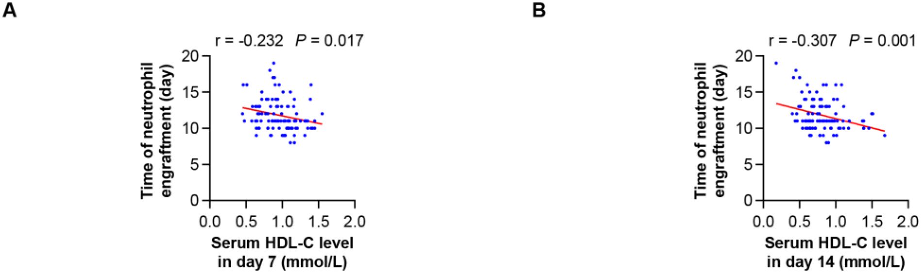 Scatter plots labeled A and B show the relationship between serum HDL-C levels and the time of neutrophil engraftment. Plot A correlates day 7 HDL-C levels with engraftment time, featuring a weak negative correlation (r = -0.232, p = 0.017). Plot B correlates day 14 HDL-C levels with engraftment time, showing a moderate negative correlation (r = -0.307, p = 0.001). Blue points indicate data distribution with a red trend line.