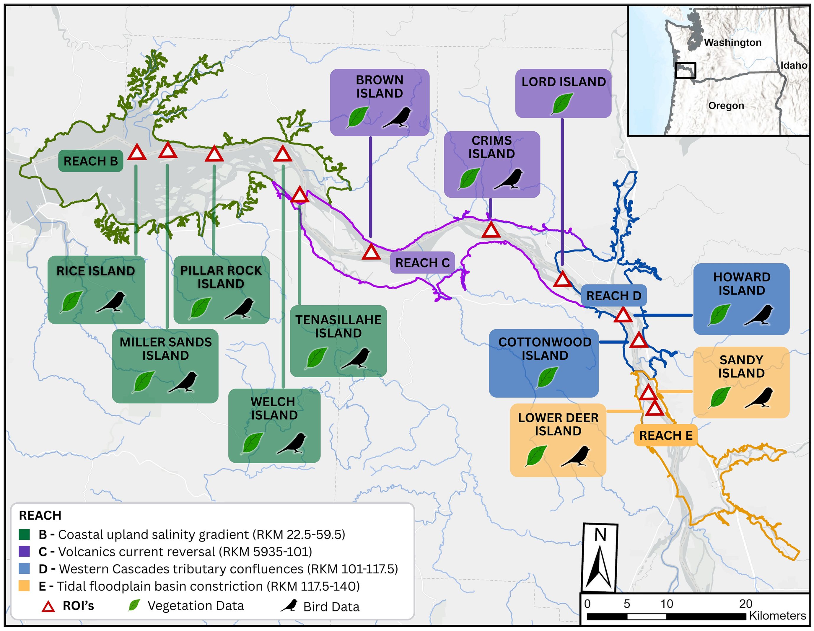 Map of regions along a river with labeled islands and reaches marked B-E. Each island is shown with symbols for vegetation data and bird data. Inset map highlights the region’s location in the Pacific Northwest, USA, showing Washington, Oregon, and Idaho. Reaches are color-coded: green for Reach B, purple for Reach C, blue for Reach D, and orange for Reach E. Red triangles indicate key regions of interest along the river. Scale and compass provided.