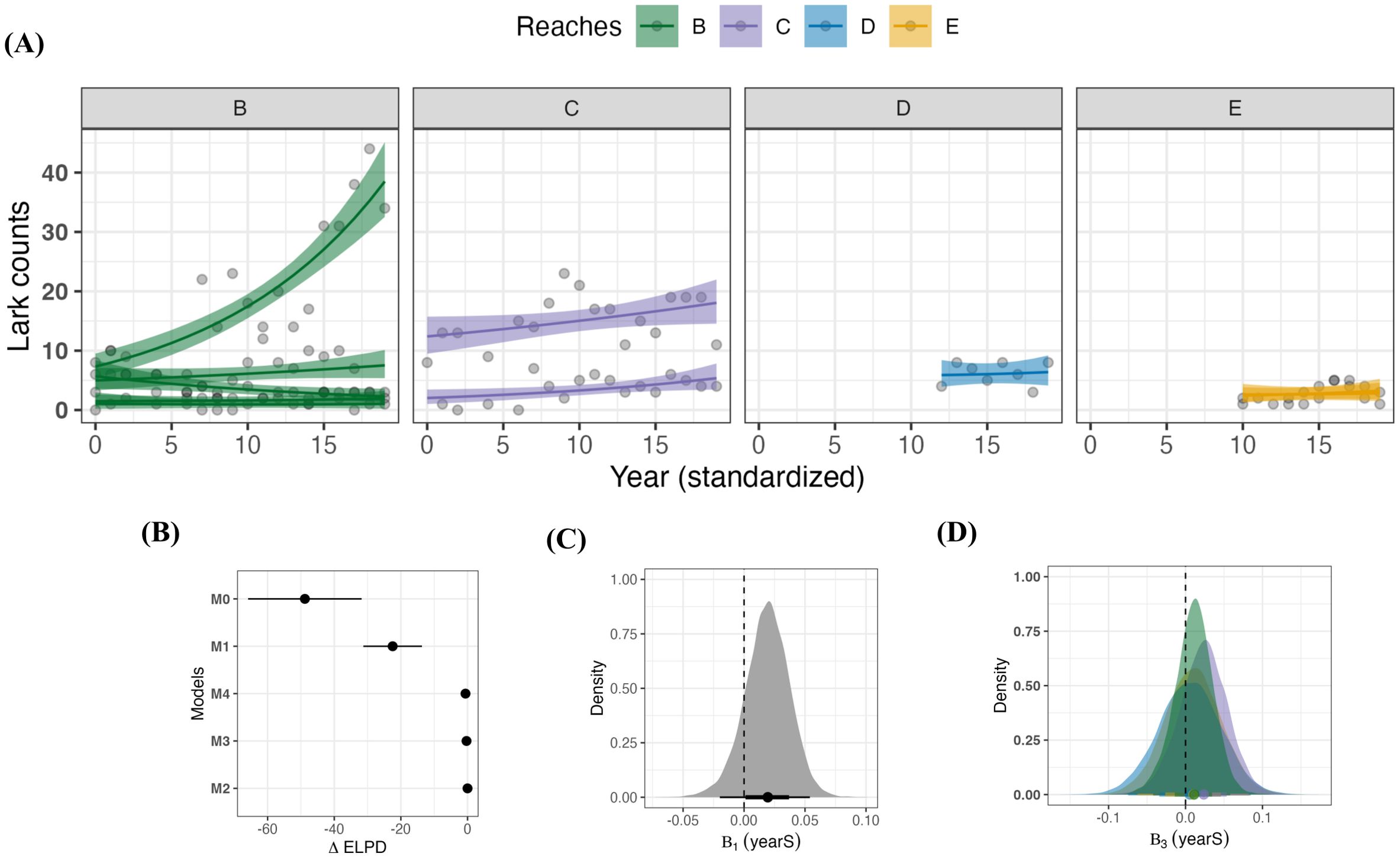 Four-panel visualization with various data plots. Panel A: Four line graphs showing lark counts over years for reaches B, C, D, and E, each with a distinct color and shaded confidence interval. Panel B: Dot plot comparing models M0 to M4 based on Δ ELPD. Panel C: Density plot displaying the distribution of B₁ with a dashed vertical line at zero. Panel D: Density plot for B₃, with overlapping regions for different reaches and a vertical reference line at zero.