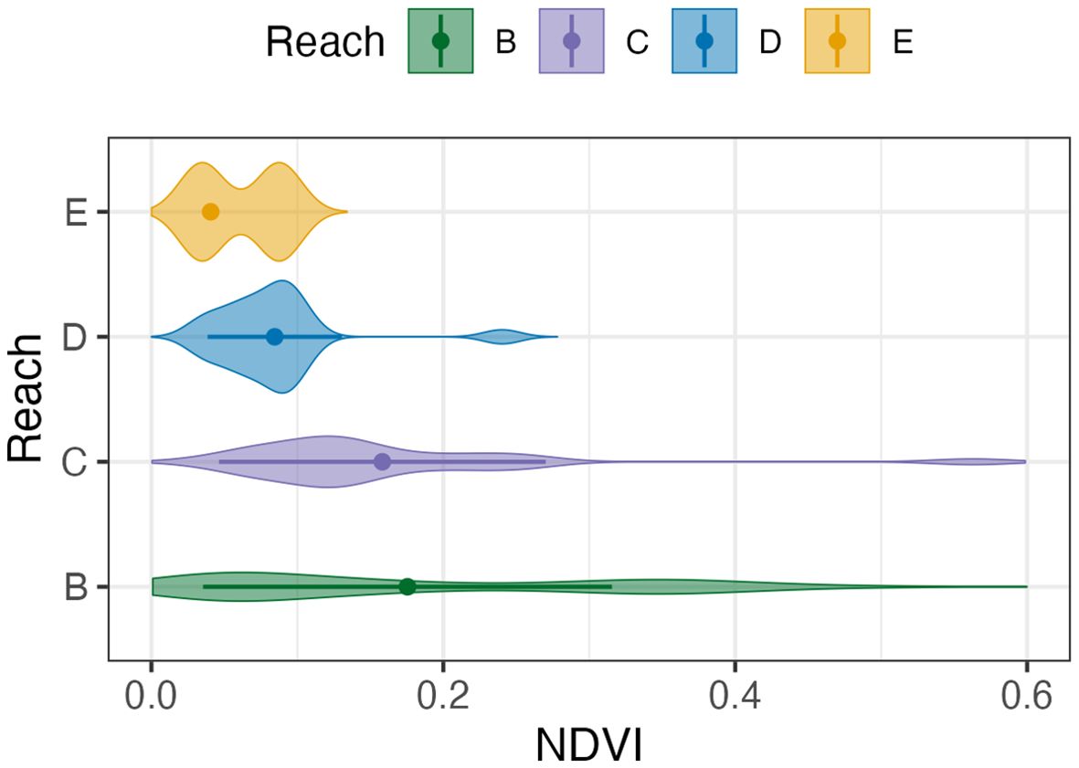 Violin plot displaying NDVI values for different reaches labeled B, C, D, and E. Each reach is represented by a colored violin shape: green for B, purple for C, blue for D, and yellow for E. The horizontal axis shows NDVI values from 0.0 to 0.6, and the vertical axis indicates the different reaches.