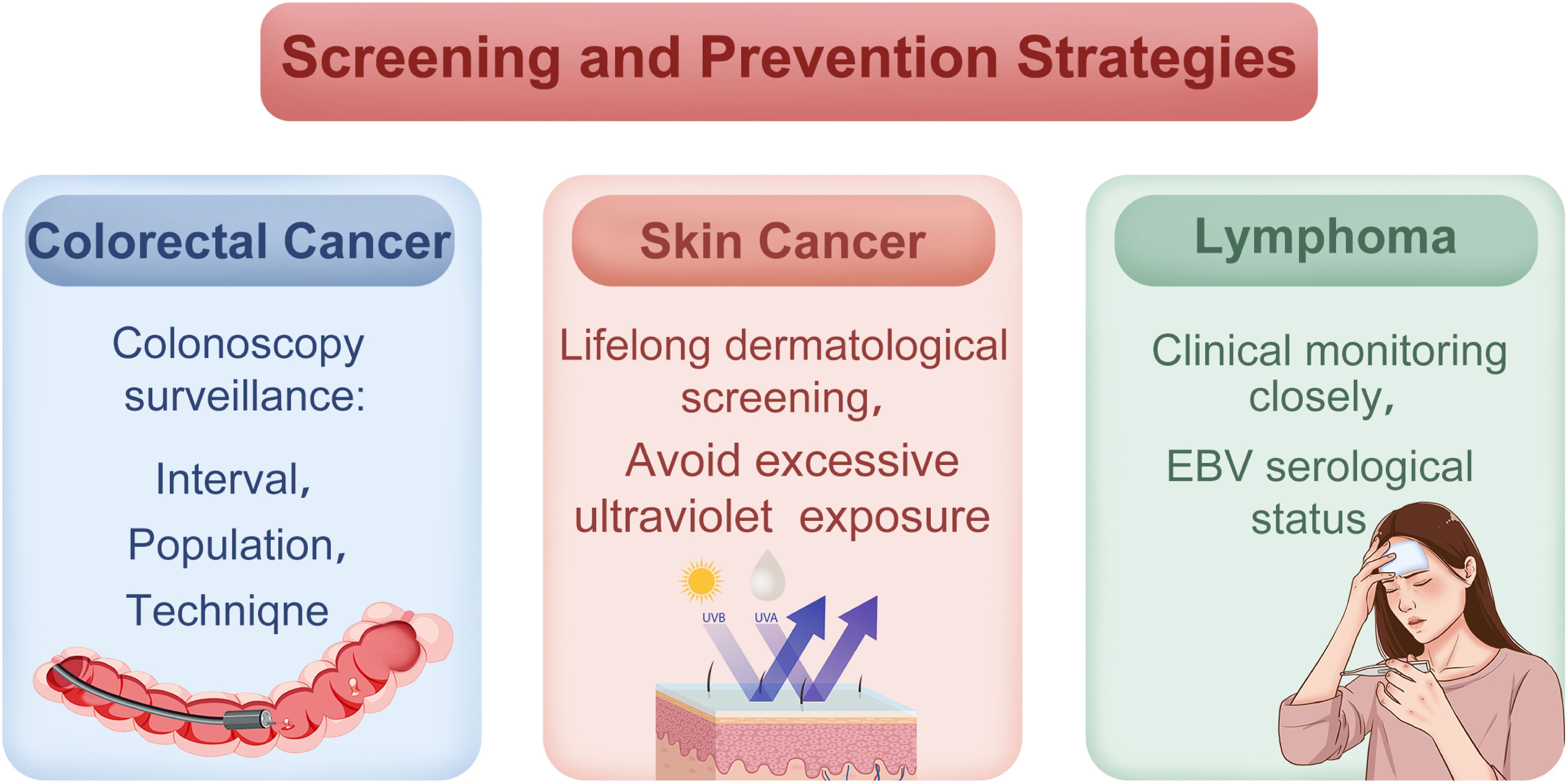 Screening and prevention strategies for cancers: Colorectal cancer involves colonoscopy surveillance, focusing on interval, population, and technique. Skin cancer requires lifelong dermatological screening and avoidance of excessive ultraviolet exposure. Lymphoma emphasizes close clinical monitoring and checking EBV serological status.