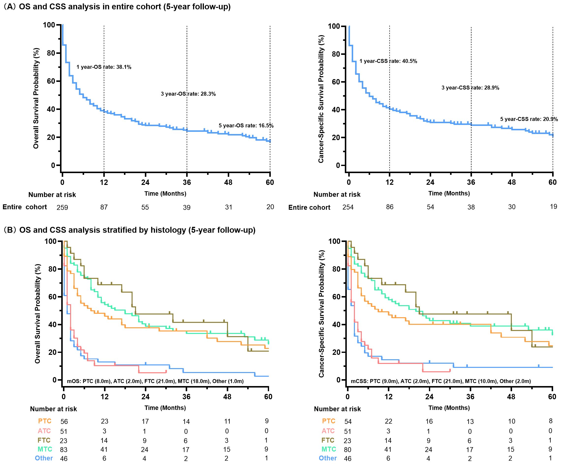 Survival probability graphs for a 5-year follow-up study. The top graphs show overall and cancer-specific survival probabilities for an entire cohort, with rates at 1, 3, and 5 years. The bottom graphs display survival analysis stratified by histology, with different lines representing PTC, ATC, FTC, MTC, and other types, and time at risk indicated per histology type.