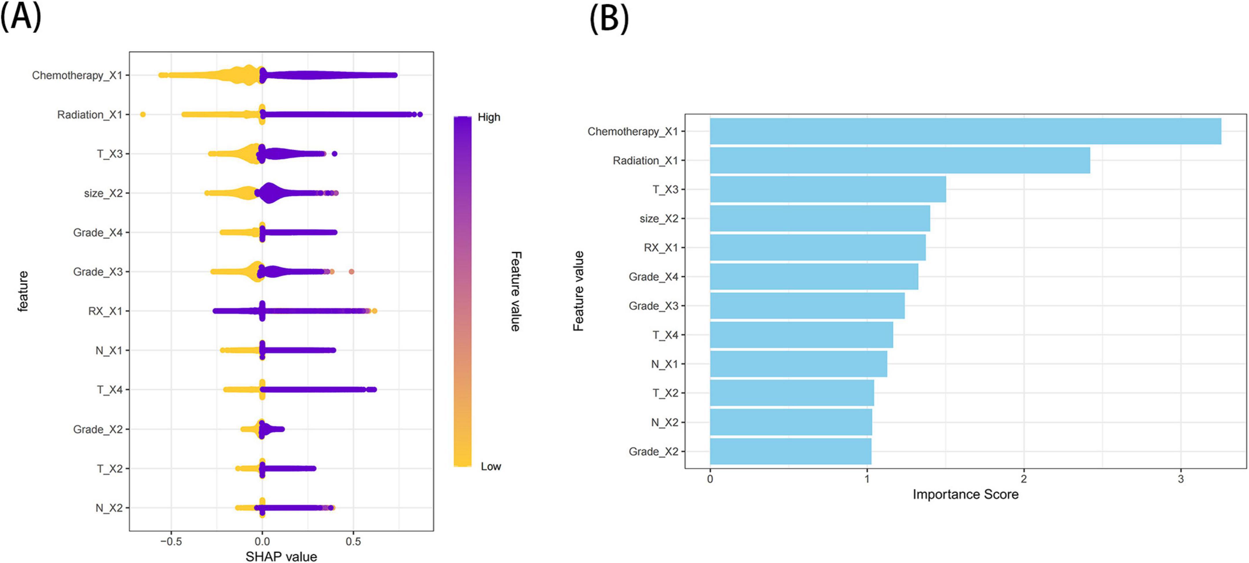 Panel A shows a violin plot of SHAP values for different features. Higher values are in purple and lower values in yellow, indicating feature impact intensity. Panel B displays a bar chart ranking the same features by importance score, with Chemotherapy_X1 having the highest score.